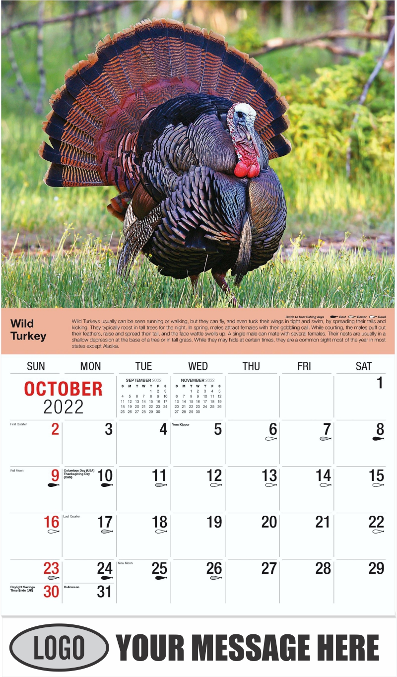2022 Promo Wall Calendar North American Wildlife low as 65¢