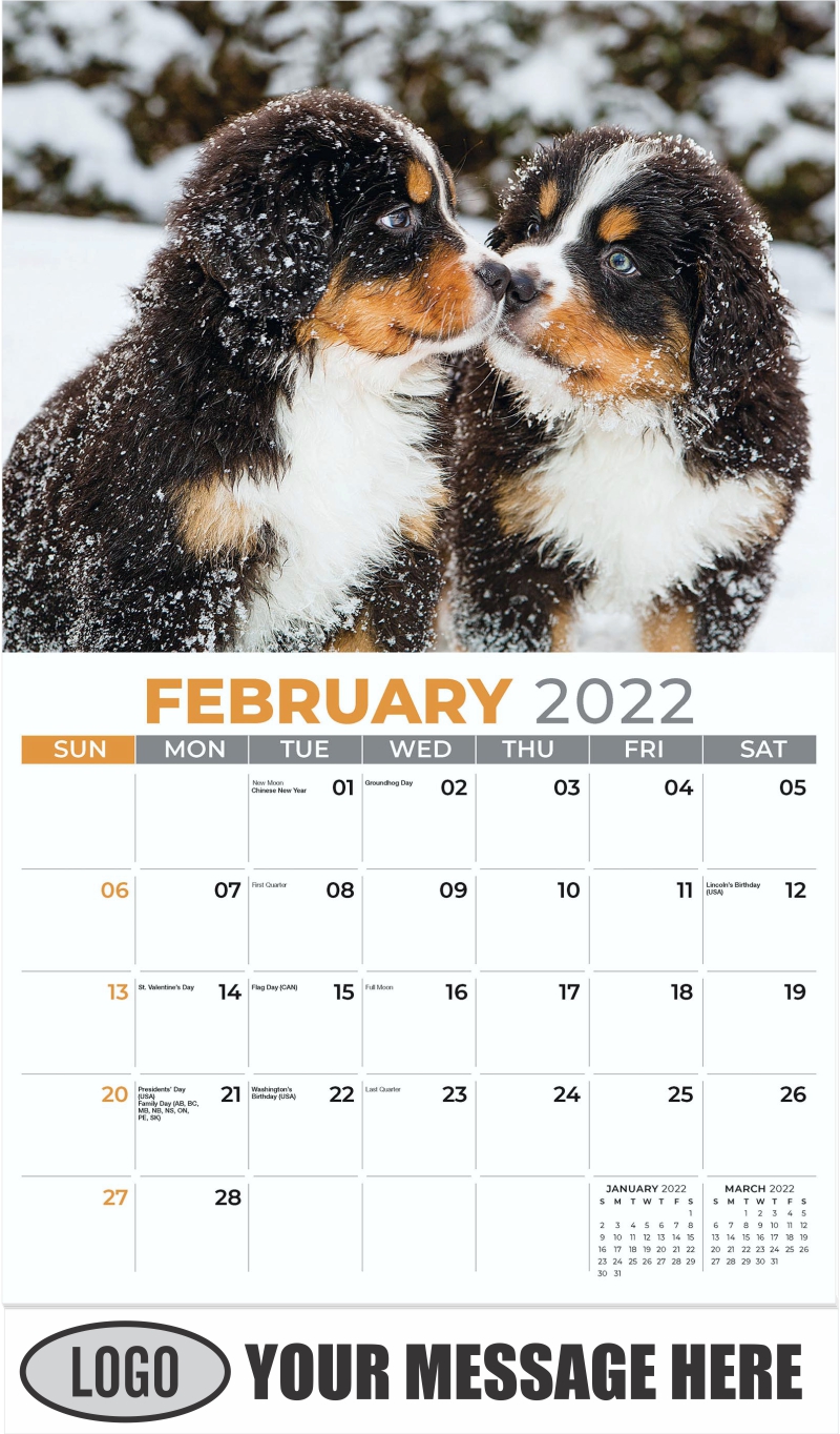 2022 Promotional Calendar Household Pets and Animals