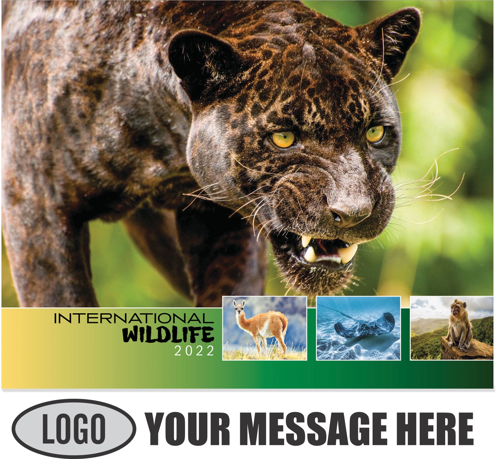 2022 Business Promotional Calendars International Wildlife low as 65¢