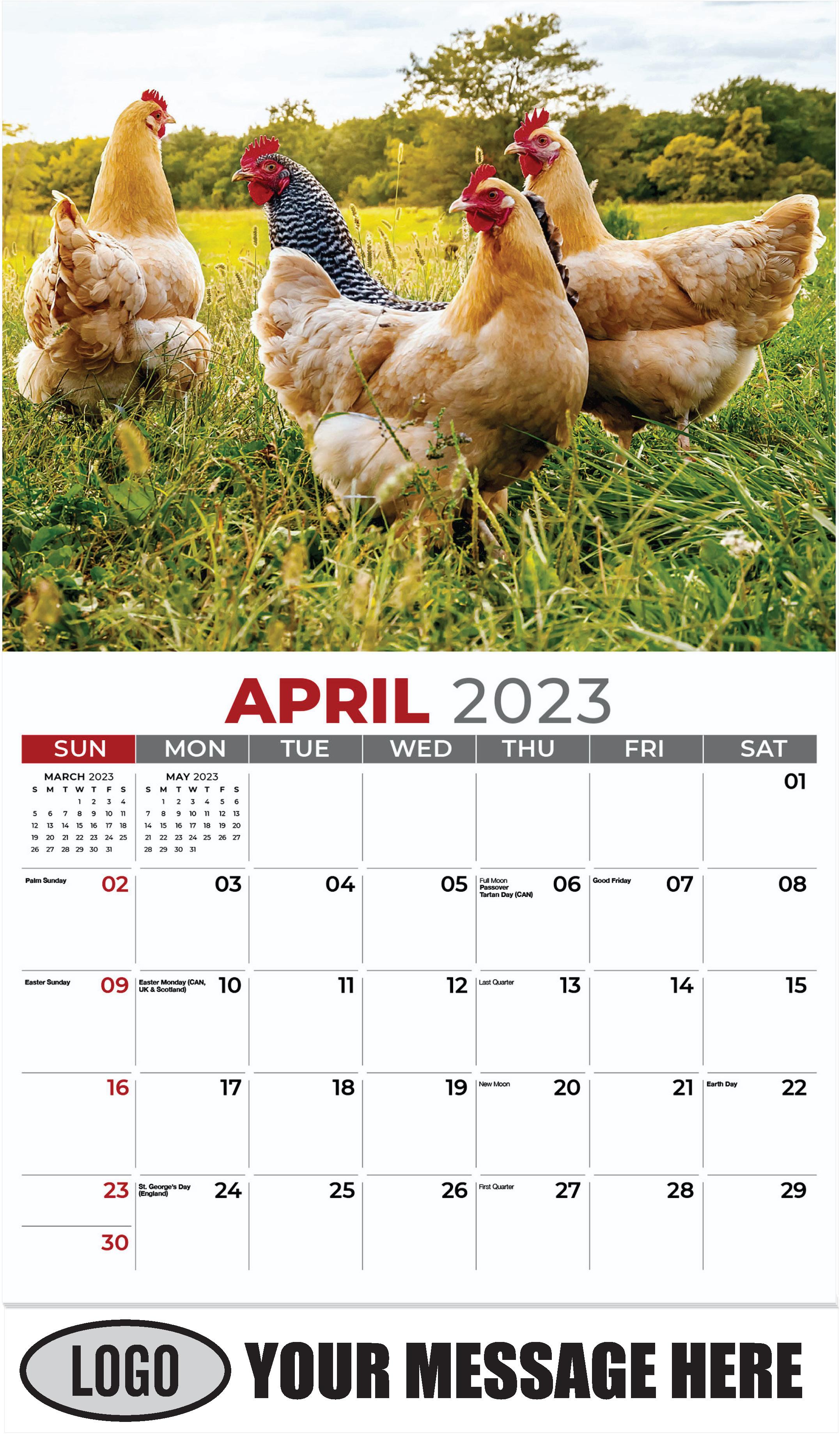 A Chicken Sunset - April - Country Spirit 2023 Promotional Calendar