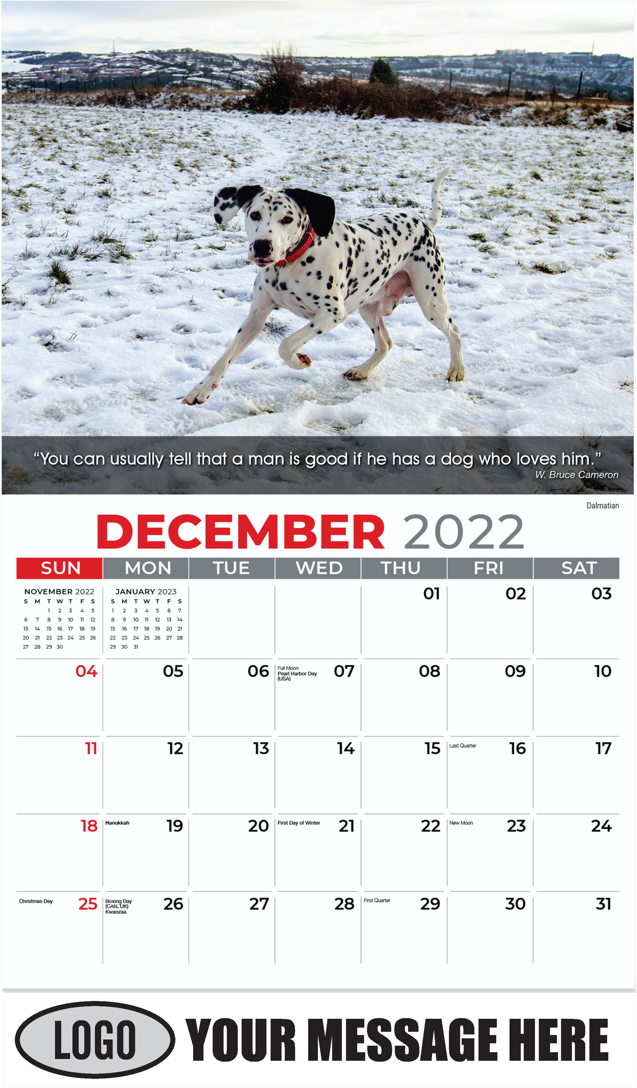 Dalmatian - December 2022 - Dogs, ''Man's Best Friends'' 2023 Promotional Calendar