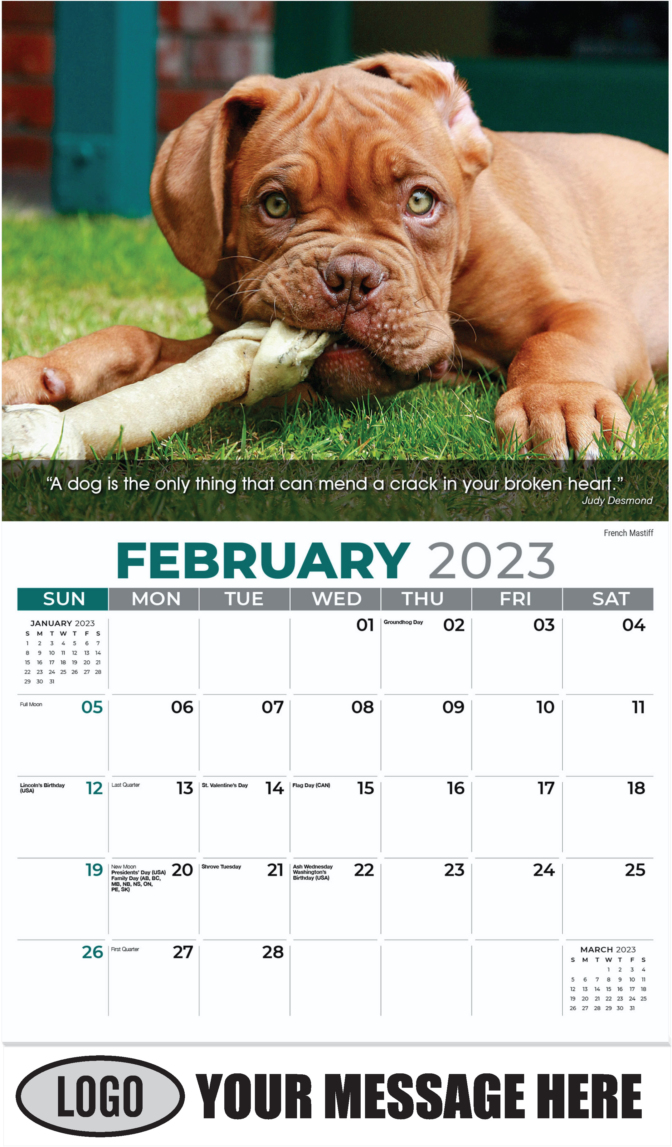 French Mastiff - February - Dogs, ''Man's Best Friends'' 2023 Promotional Calendar