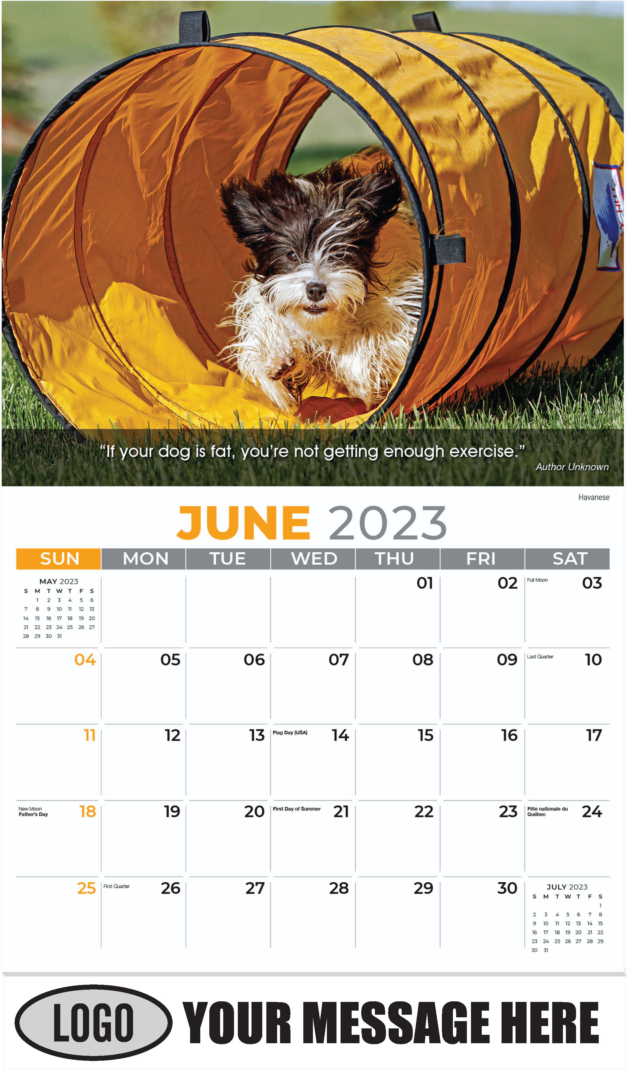 Havanese Puppy - June - Dogs, ''Man's Best Friends'' 2023 Promotional Calendar