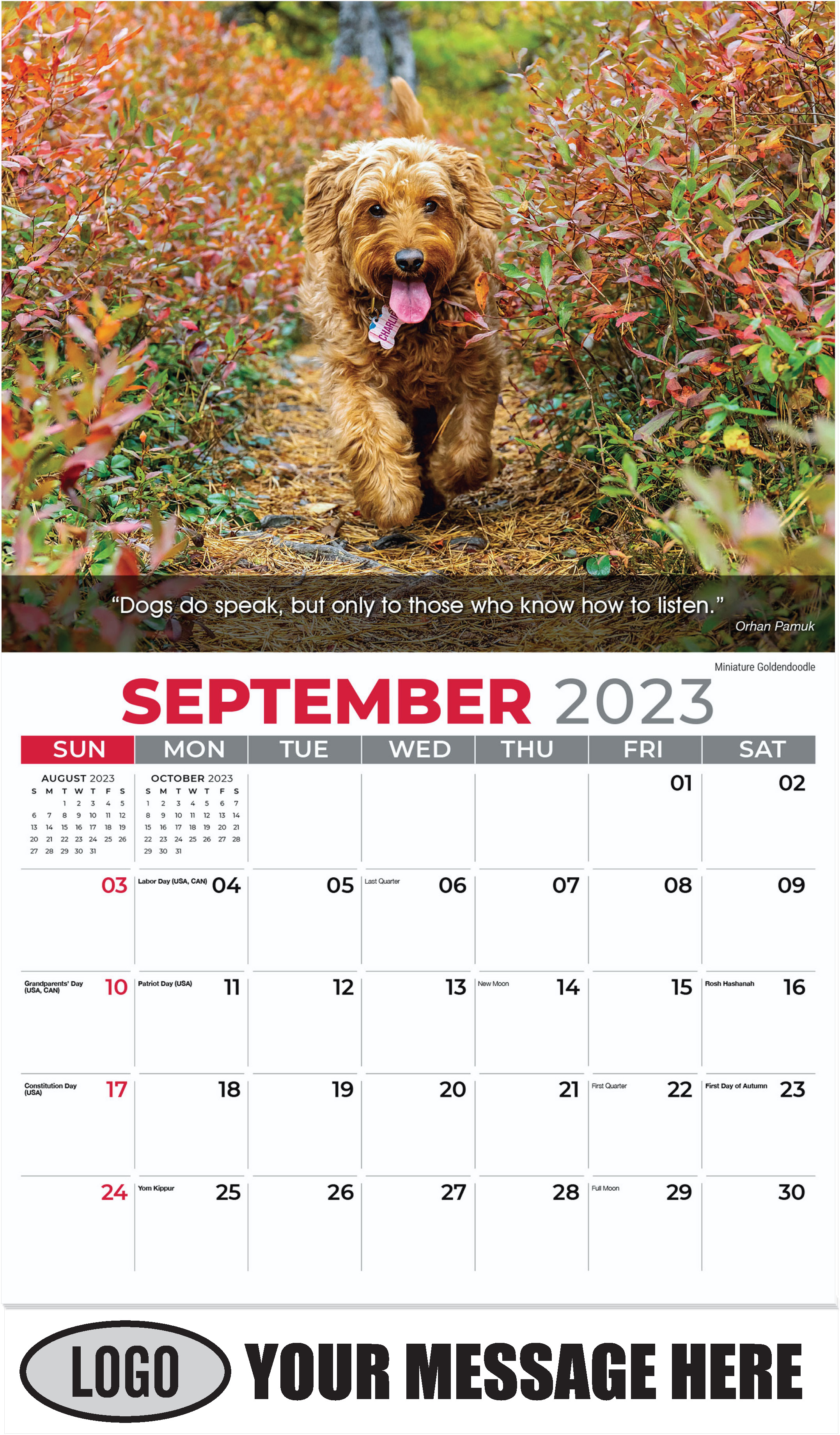 Chesapeake Bay Retriever - September - Dogs, ''Man's Best Friends'' 2023 Promotional Calendar