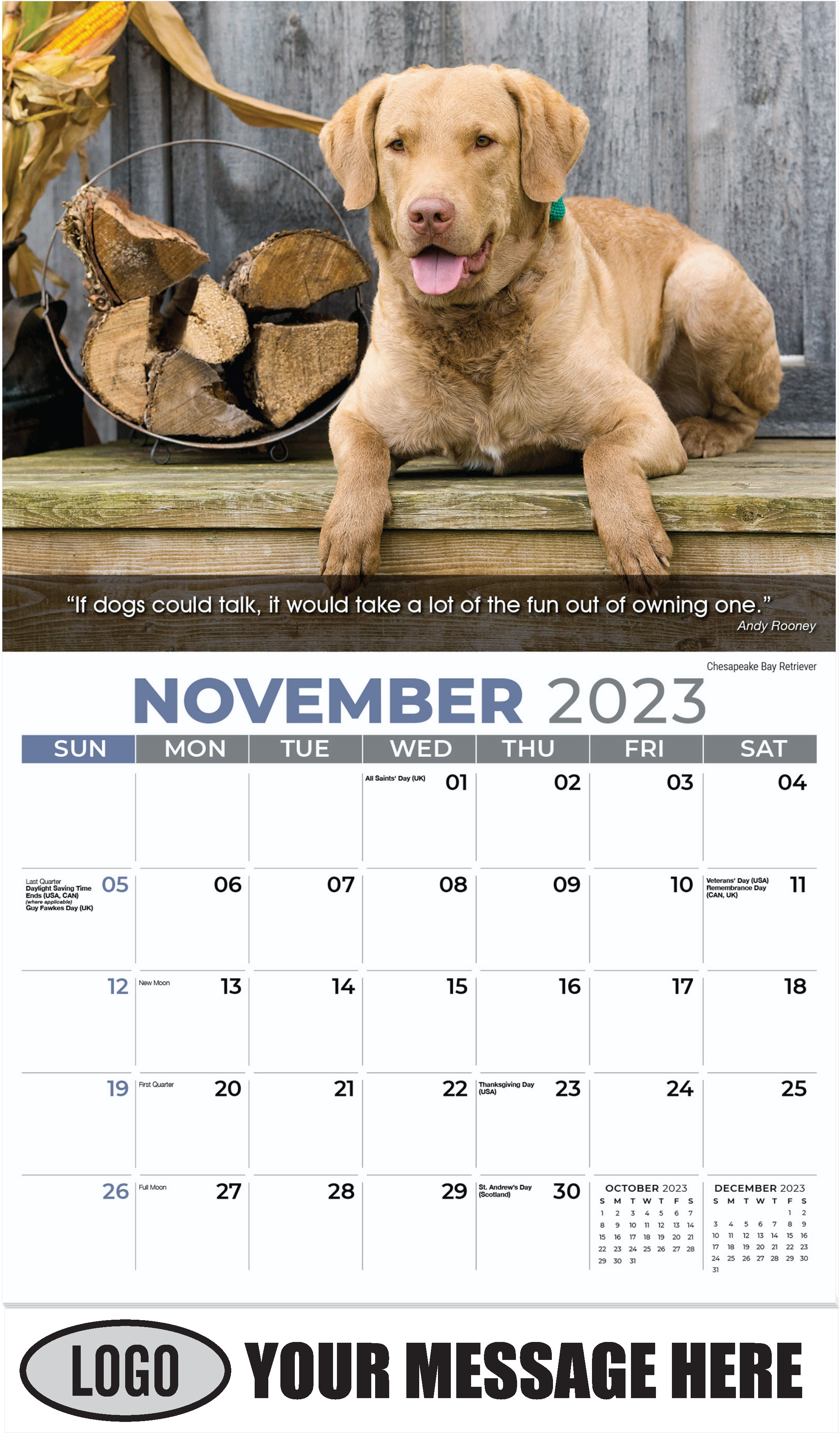 Australian Cattle Dog - November - Dogs, ''Man's Best Friends'' 2023 Promotional Calendar