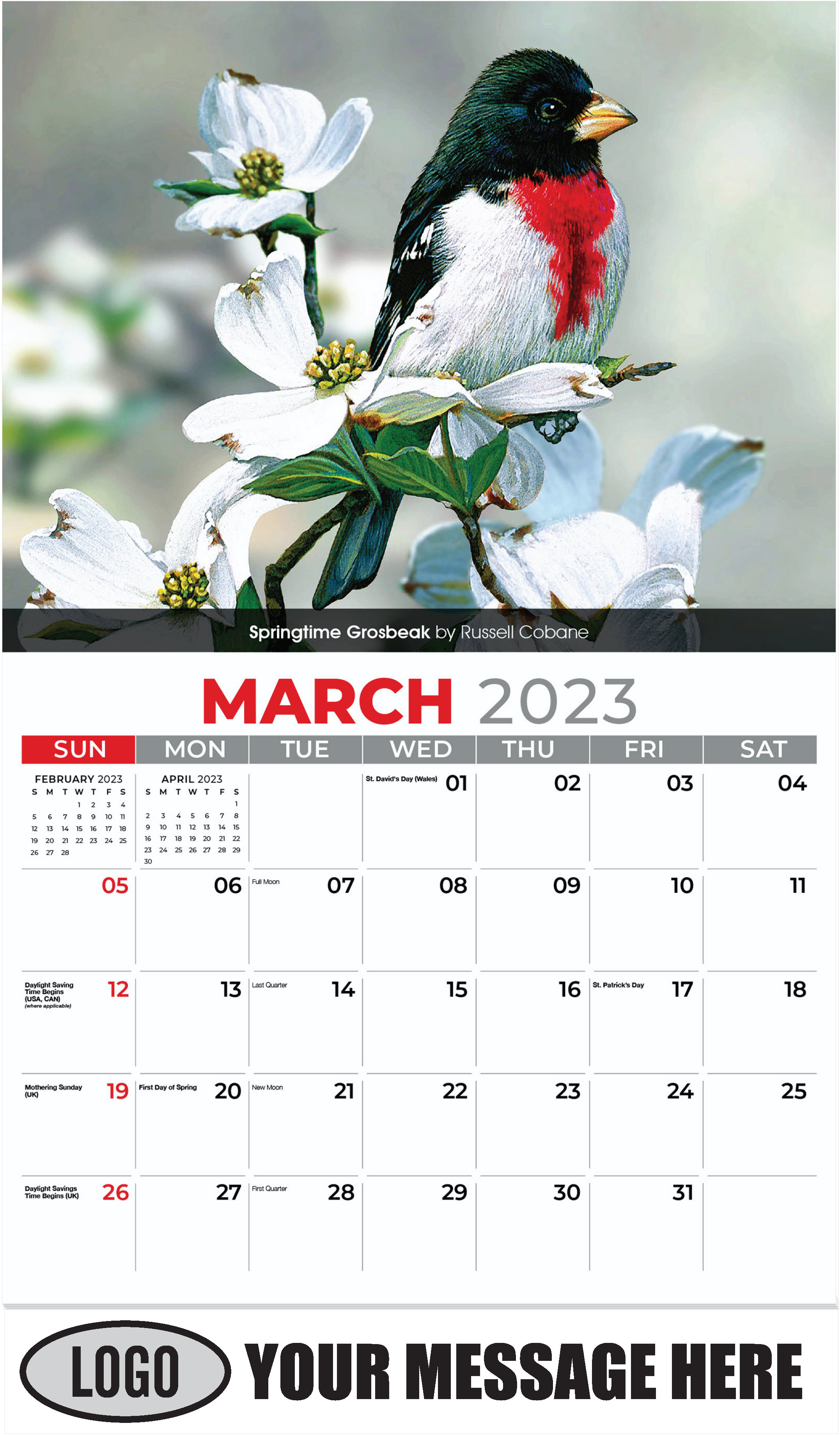 Springtime Grosbeak by Russell Cobane - March - Garden Birds 2023 Promotional Calendar
