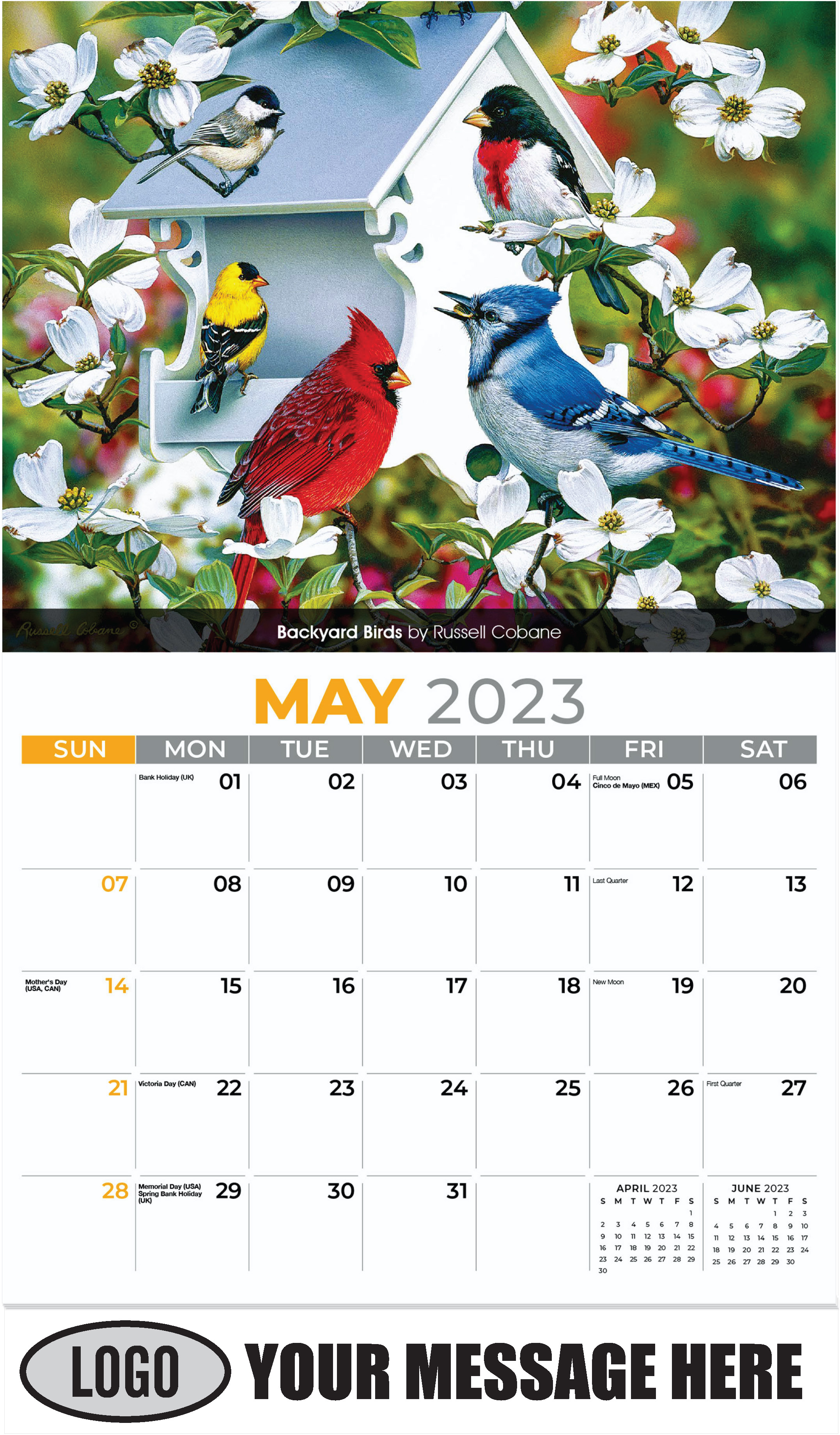 Backyard birds by Russell Cobane - May - Garden Birds 2023 Promotional Calendar