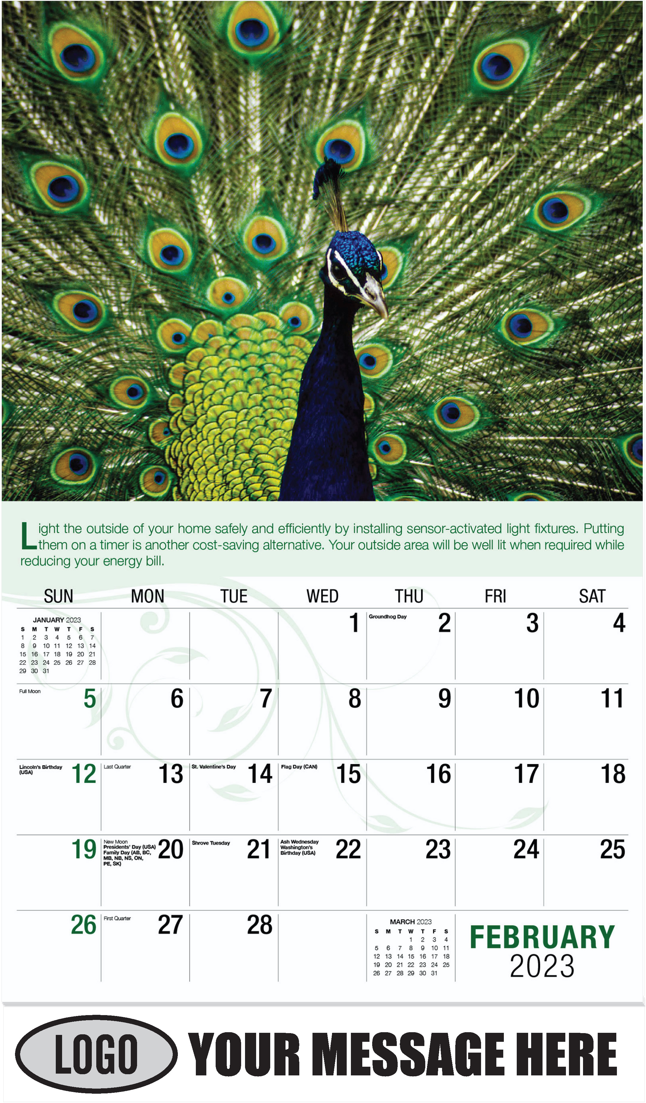Indian Peacock - February - Go Green 2023 Promotional Calendar