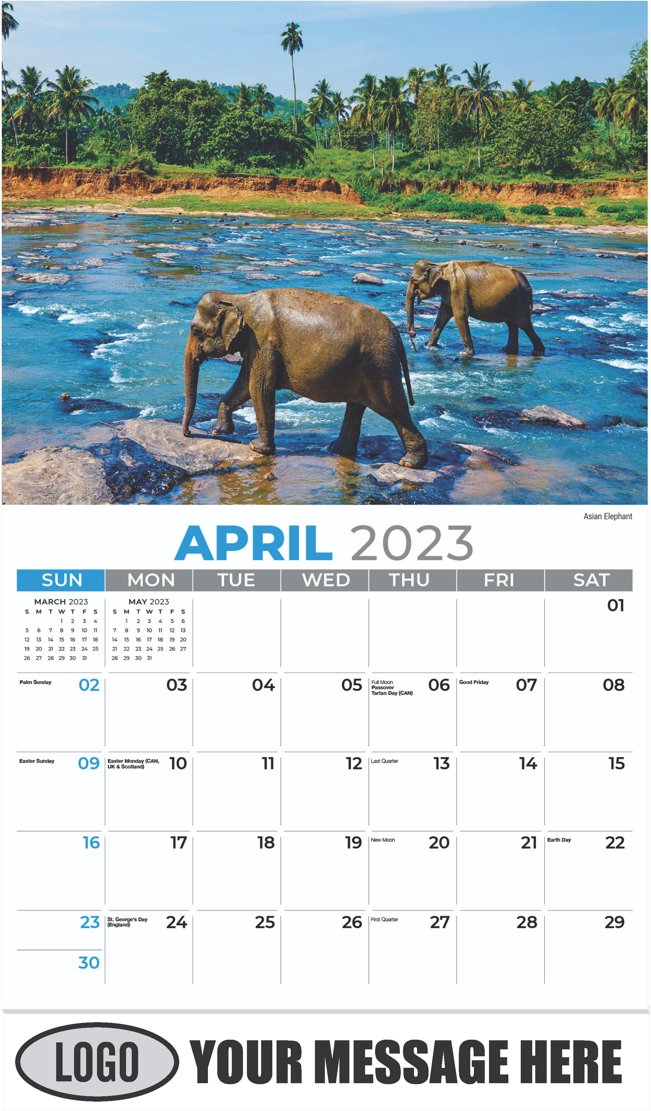 Asian Elephant - April - International Wildlife 2023 Promotional Calendar