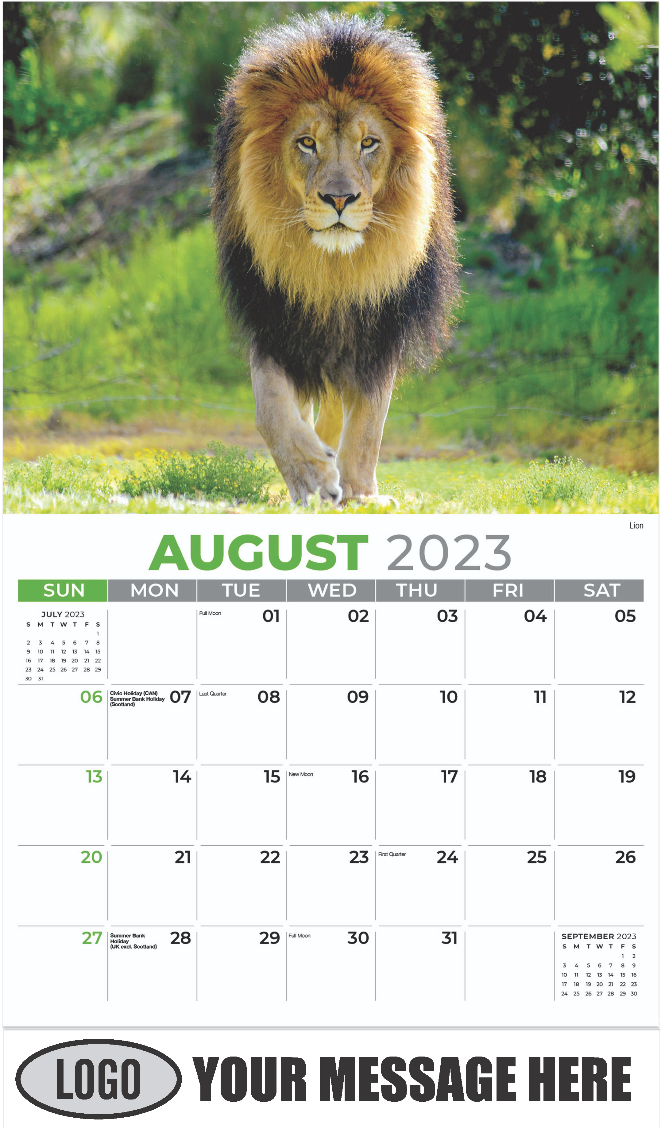 Lion - August - International Wildlife 2023 Promotional Calendar