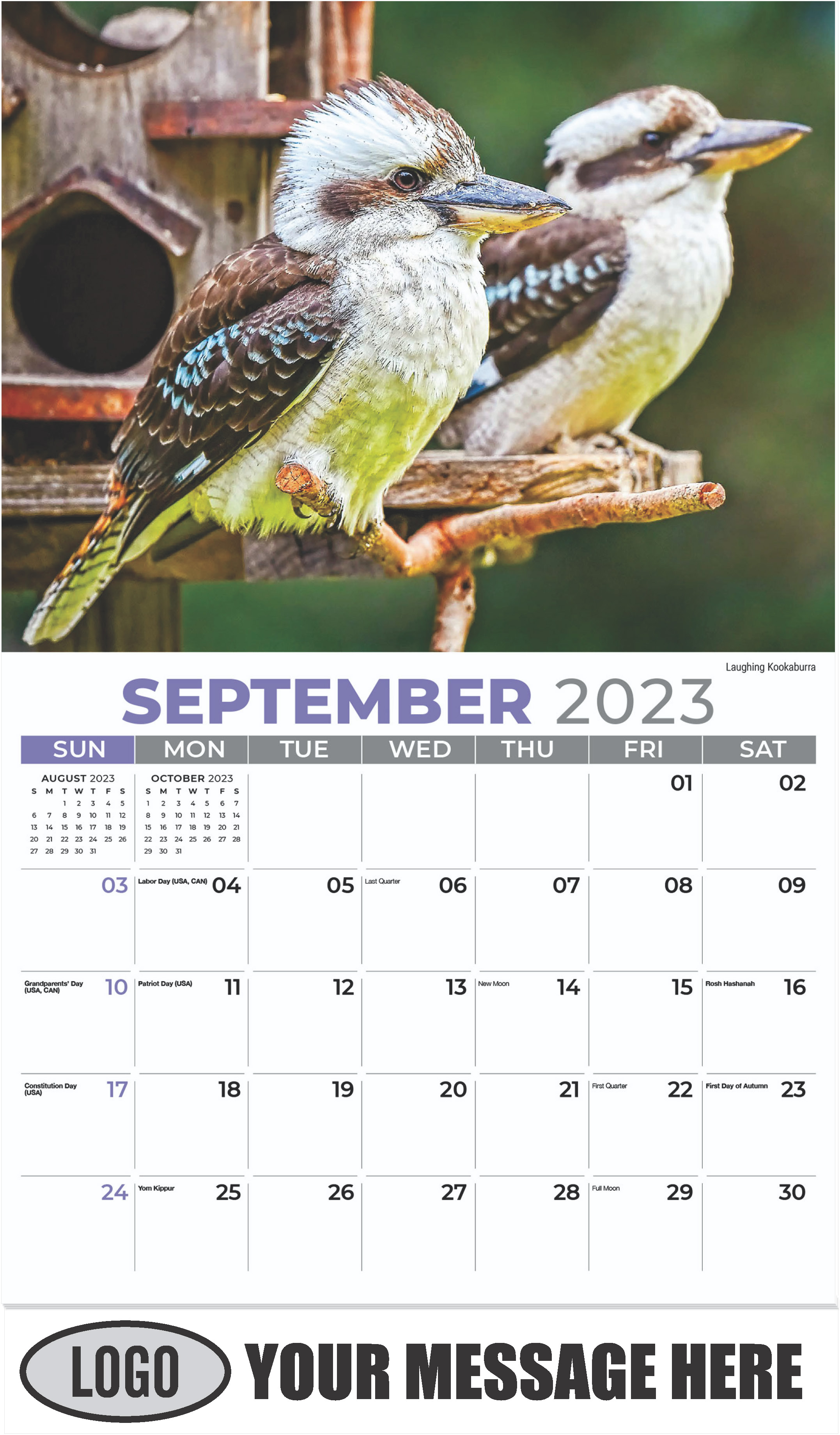 Laughing Kookaburra - September - International Wildlife 2023 Promotional Calendar