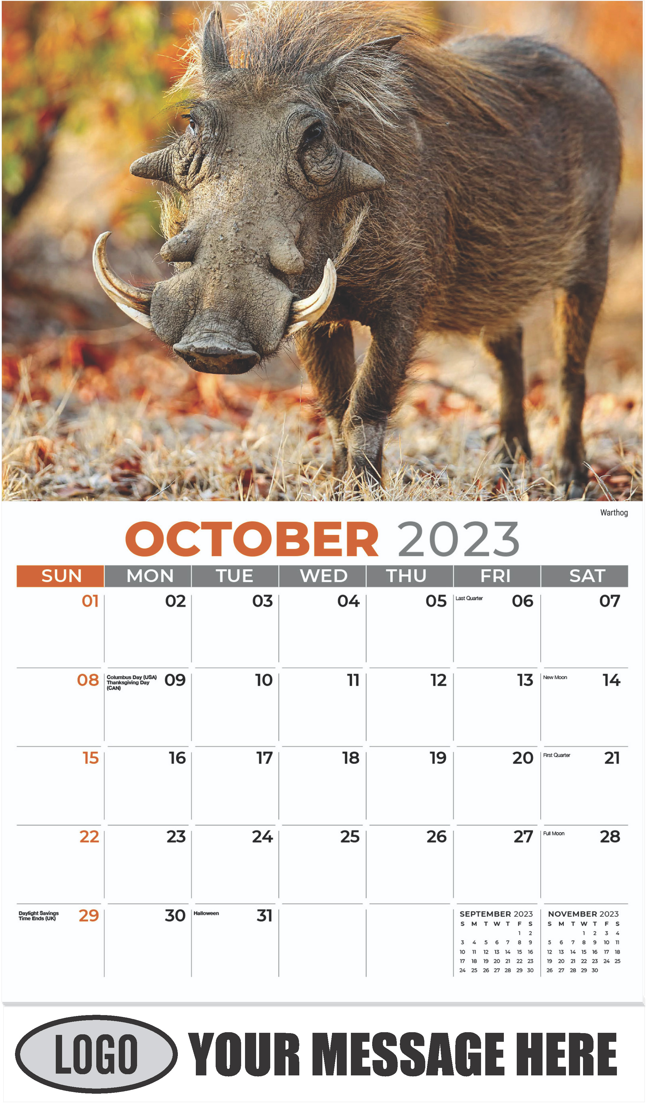 Warthog - October - International Wildlife 2023 Promotional Calendar