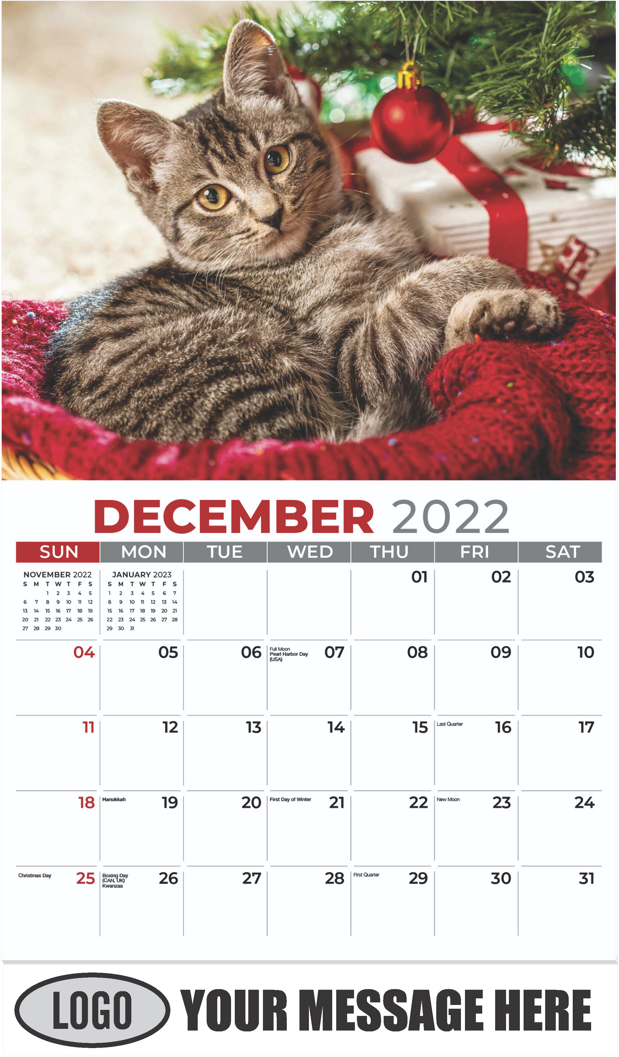 Tabby under Christmas Tree - December 2022 - Kittens 2023 Promotional Calendar