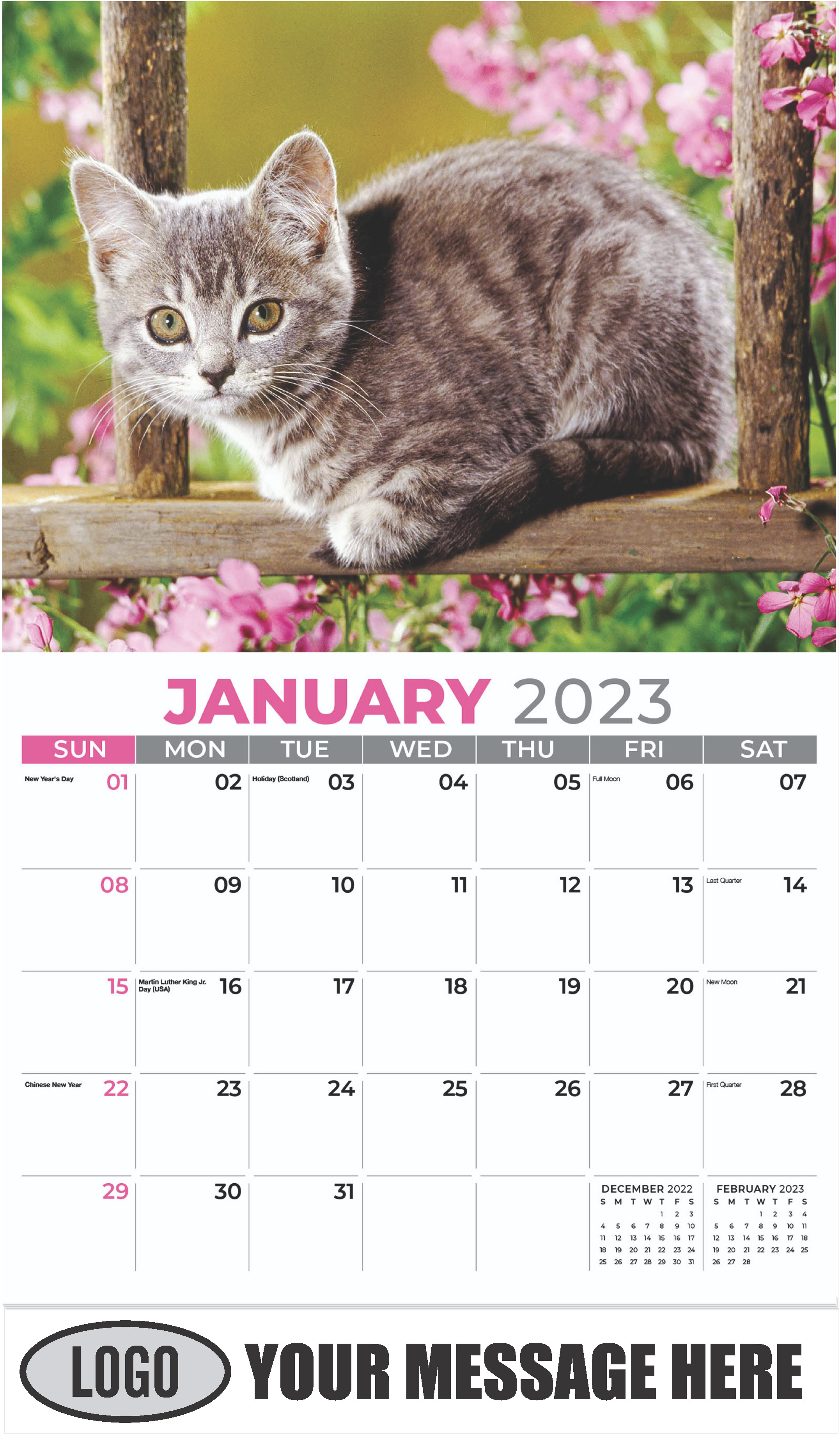 Blue tabby - January - Kittens 2023 Promotional Calendar