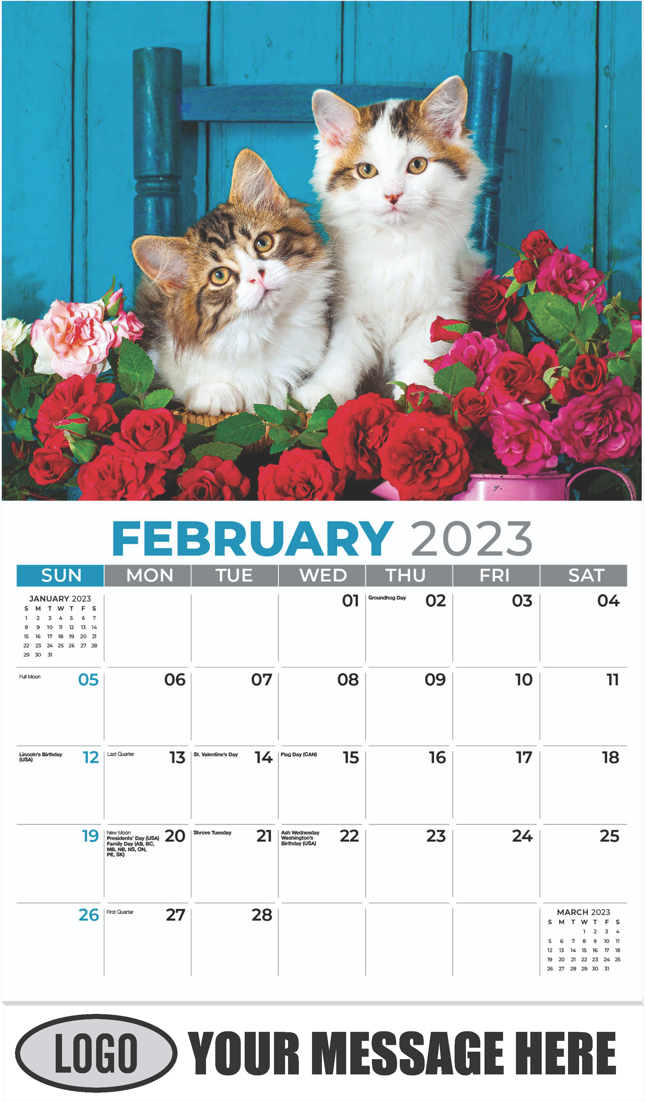 Domestic Cat - February - Kittens 2023 Promotional Calendar