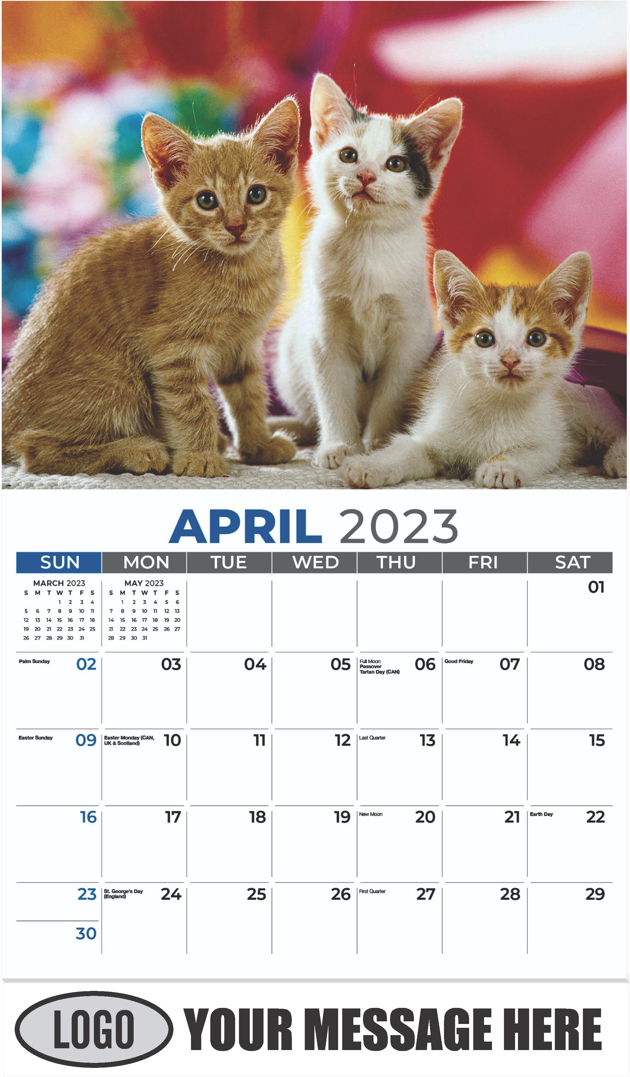 Domestic Cat - April - Kittens 2023 Promotional Calendar