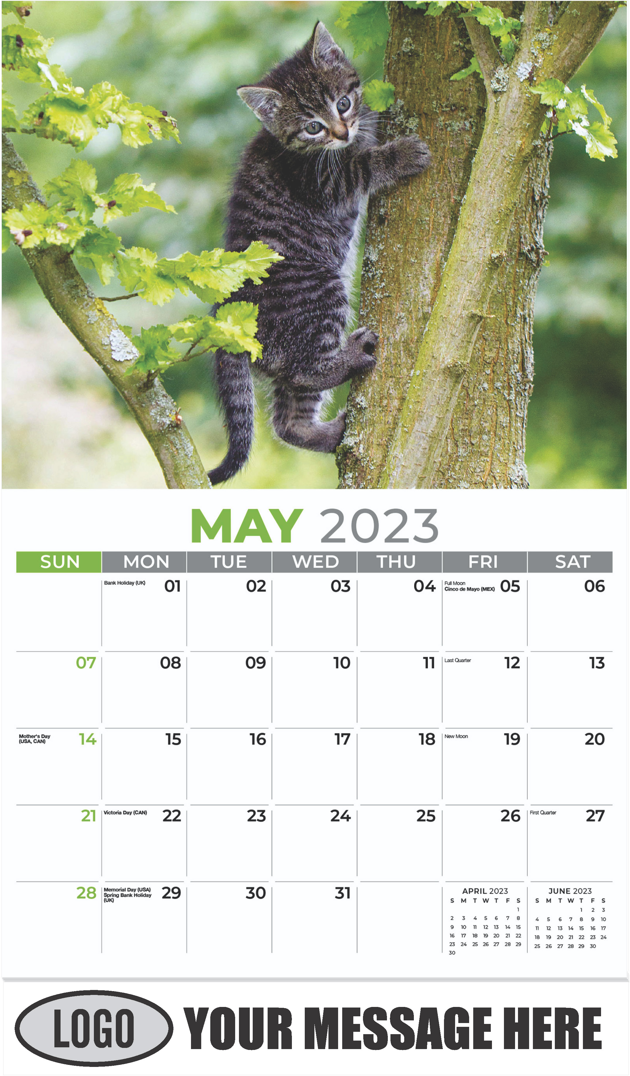 Tabby - May - Kittens 2023 Promotional Calendar