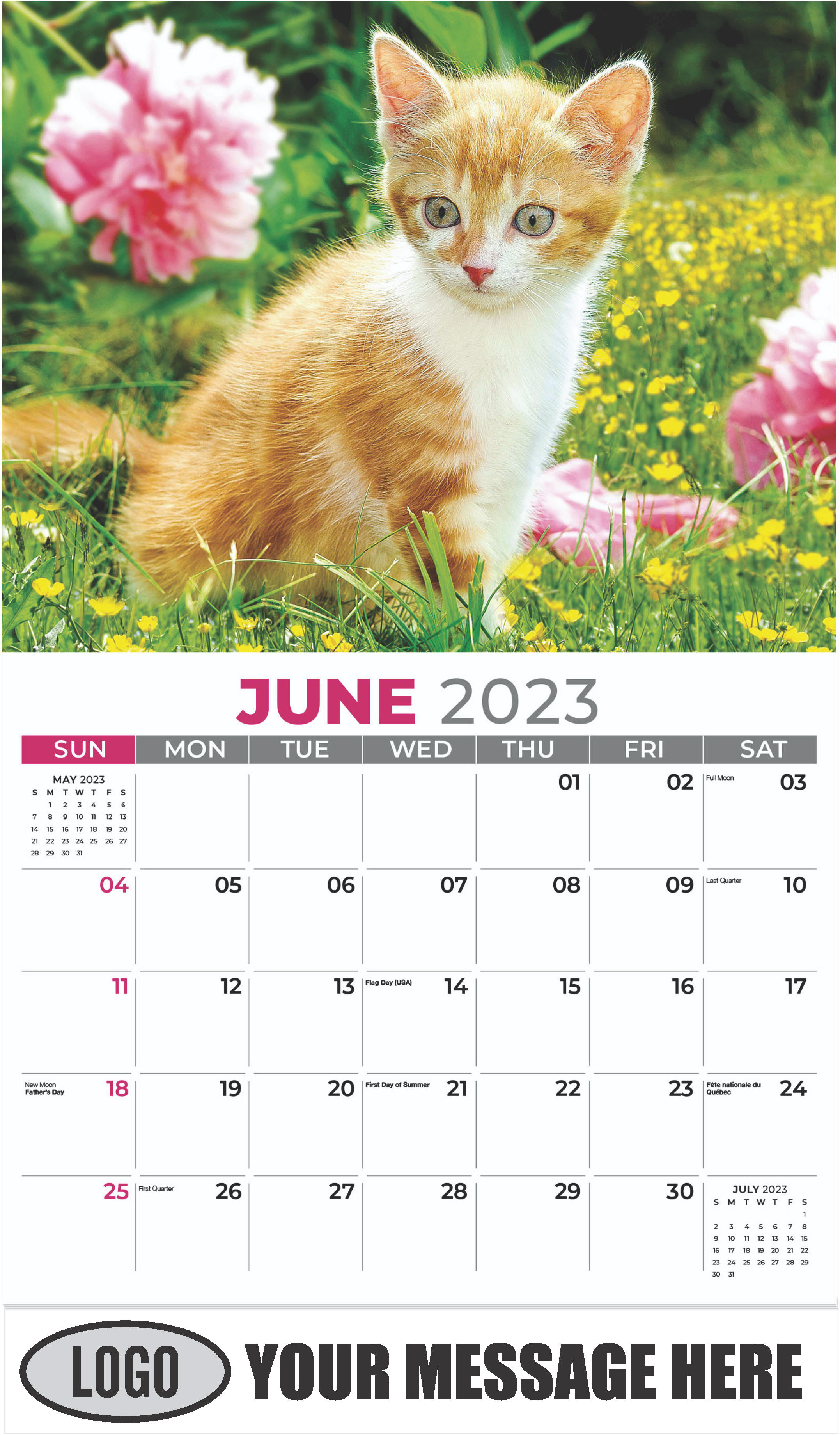 Domestic Cat - June - Kittens 2023 Promotional Calendar