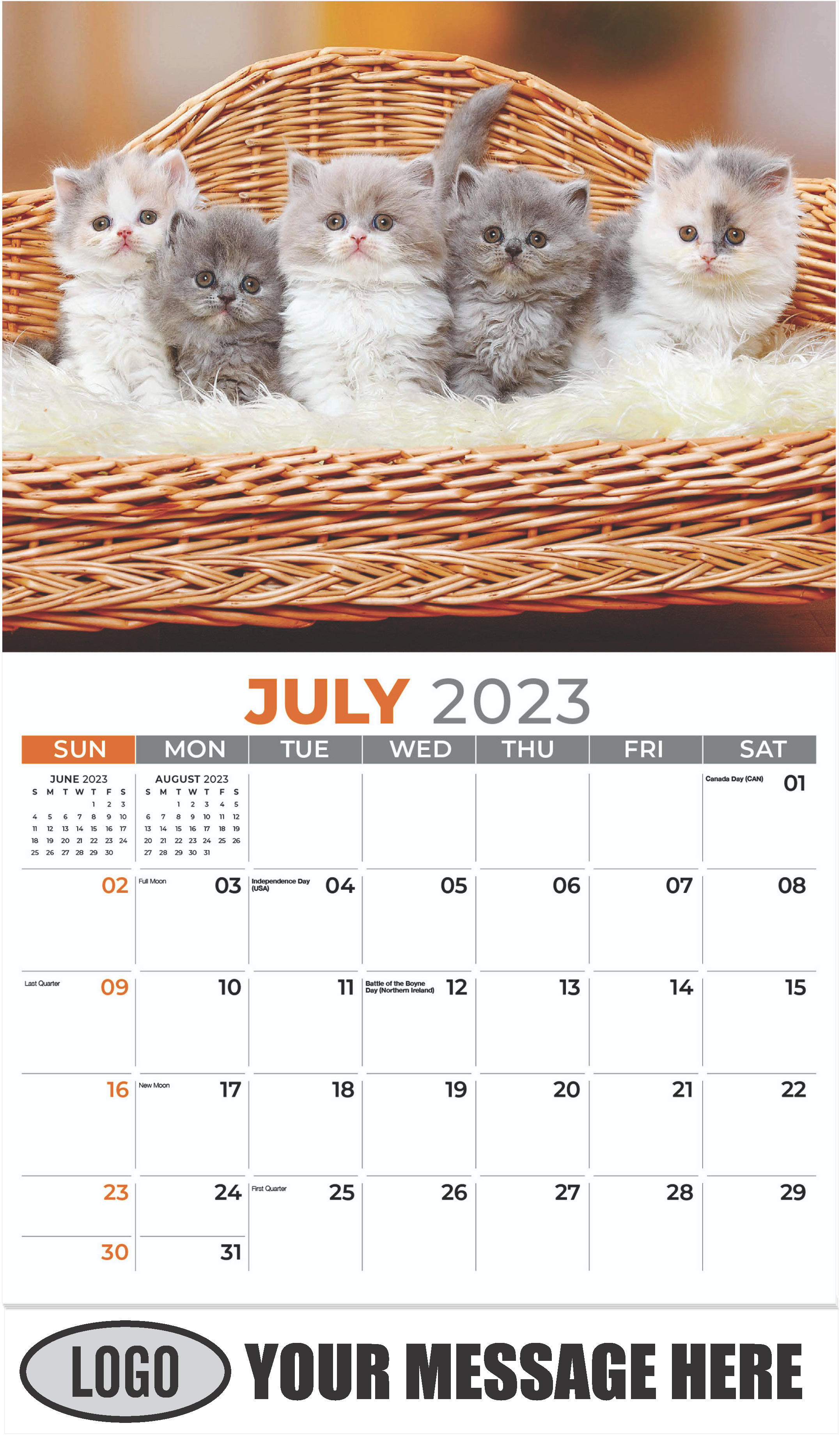 British Longhair - July - Kittens 2023 Promotional Calendar
