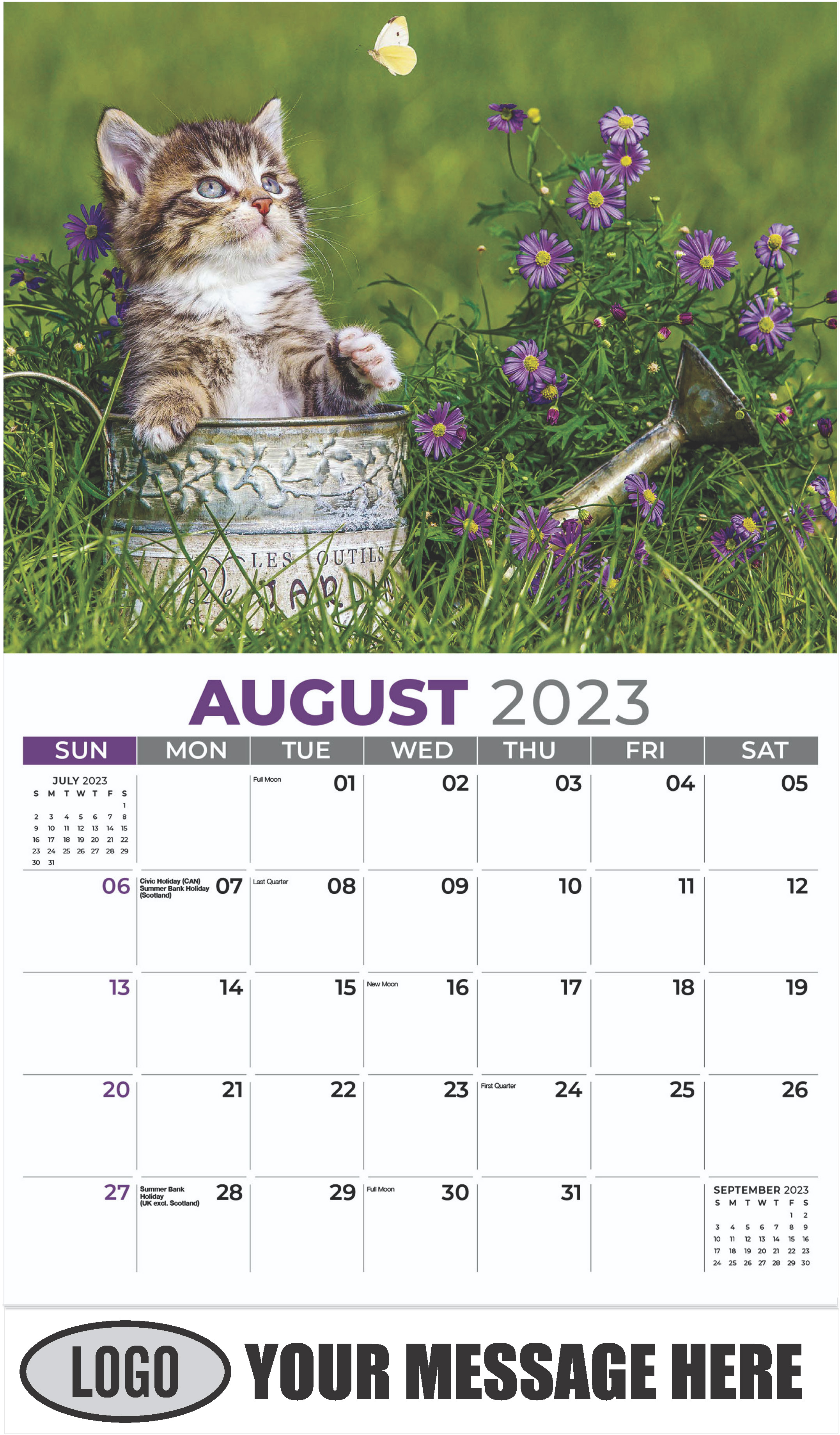 Tabby - August - Kittens 2023 Promotional Calendar