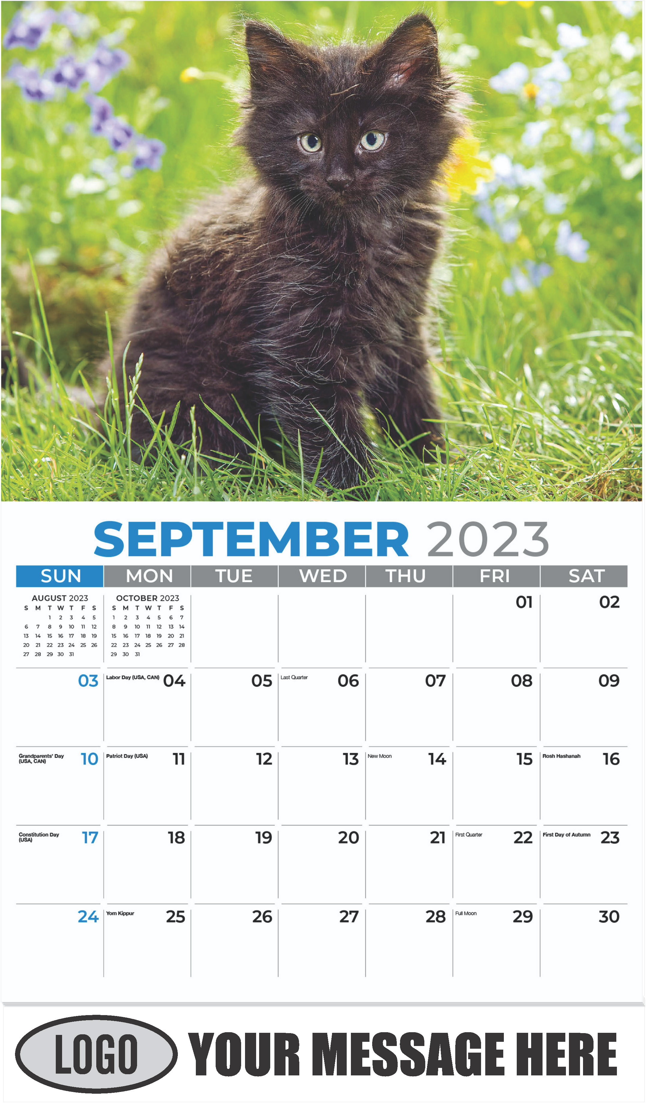 Norwegian Forest Kitten - September - Kittens 2023 Promotional Calendar