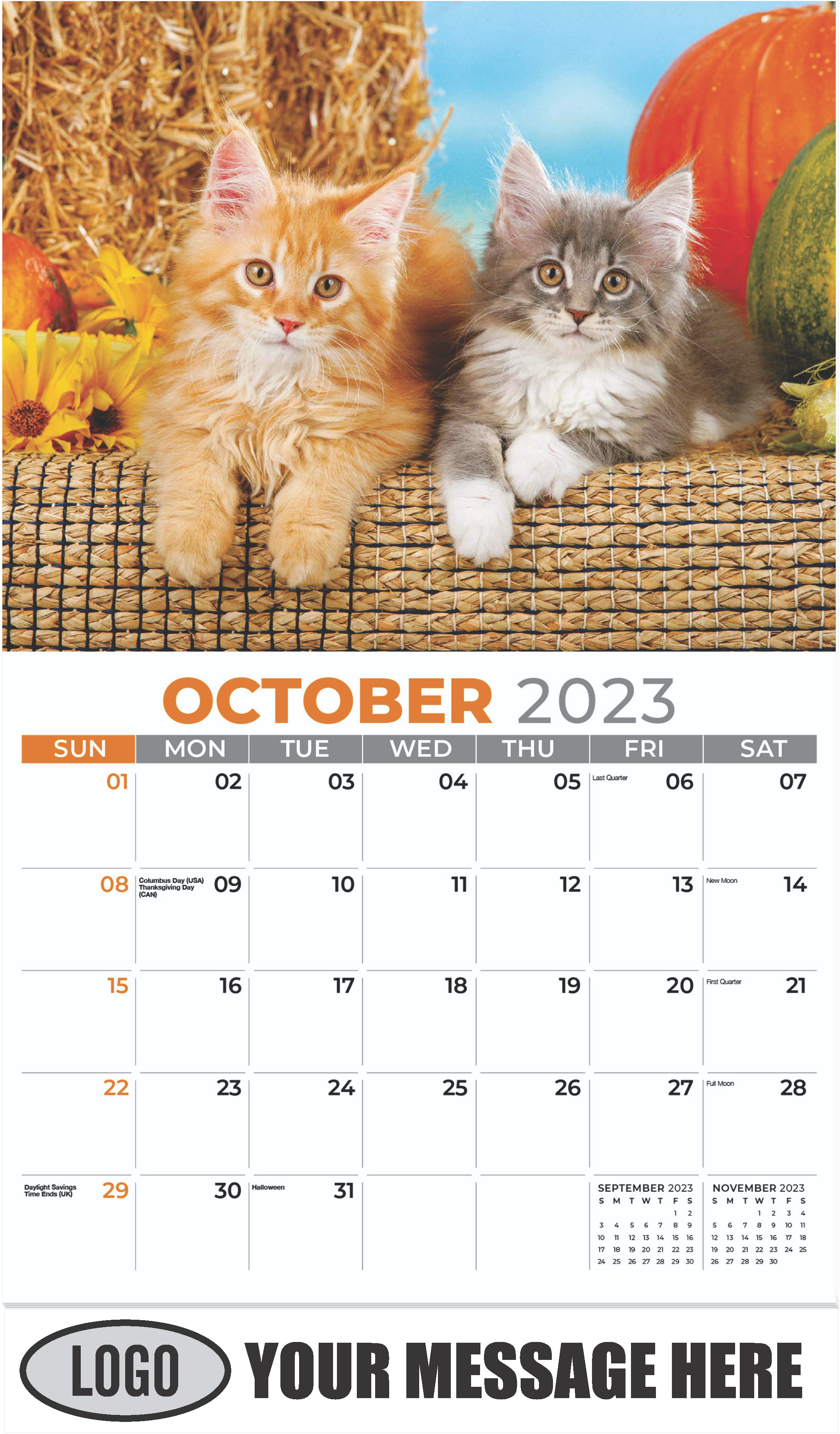 American Longhair & Maine Coon - October - Kittens 2023 Promotional Calendar