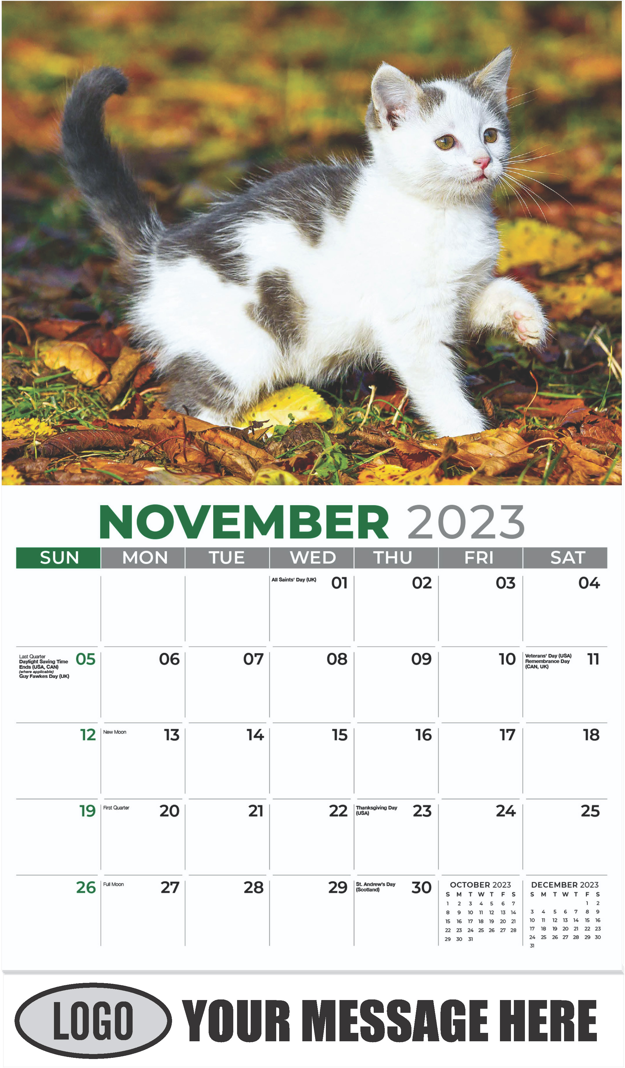 Tabby - November - Kittens 2023 Promotional Calendar
