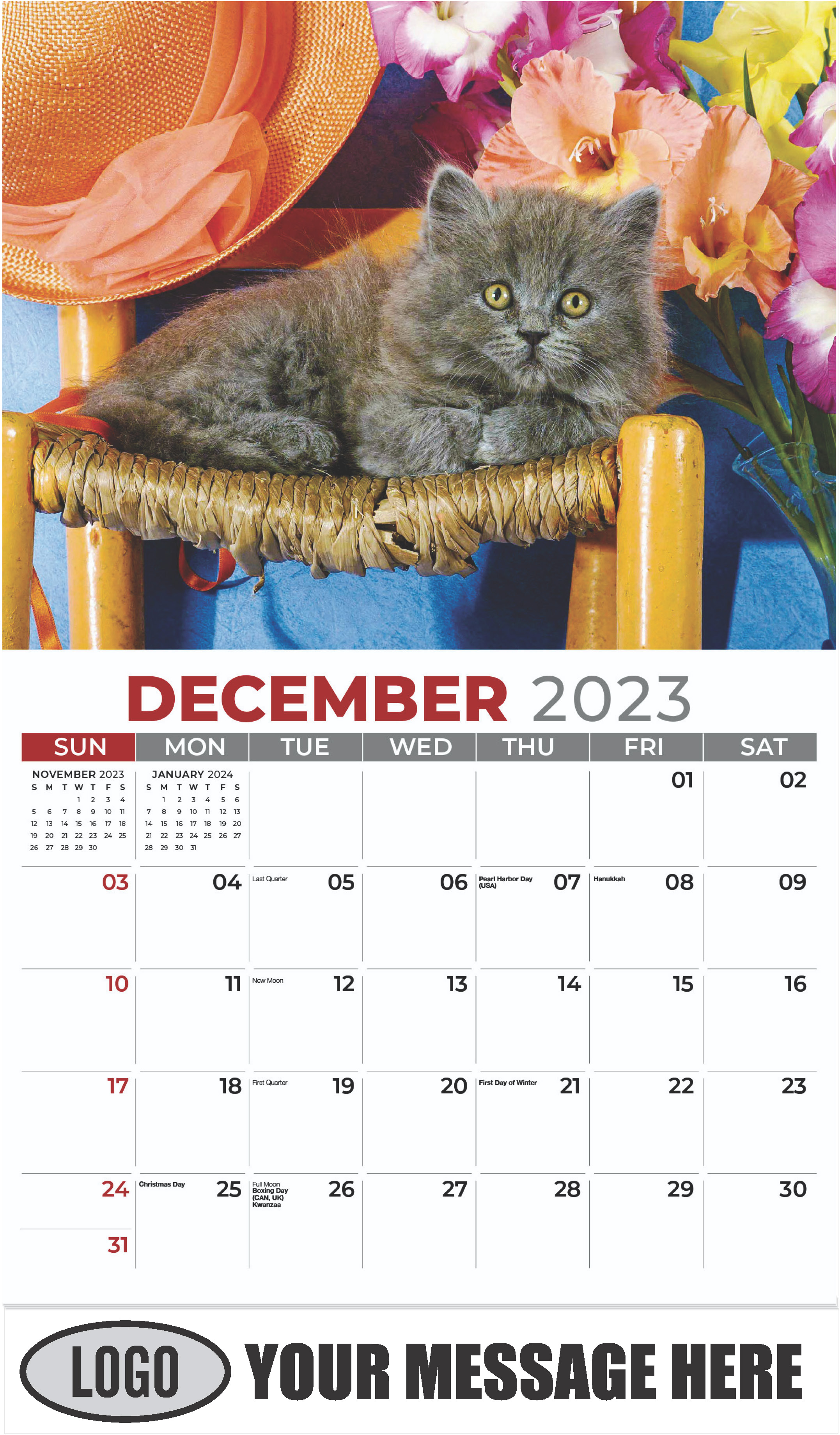 Persian Kitten - December 2023 - Kittens 2023 Promotional Calendar