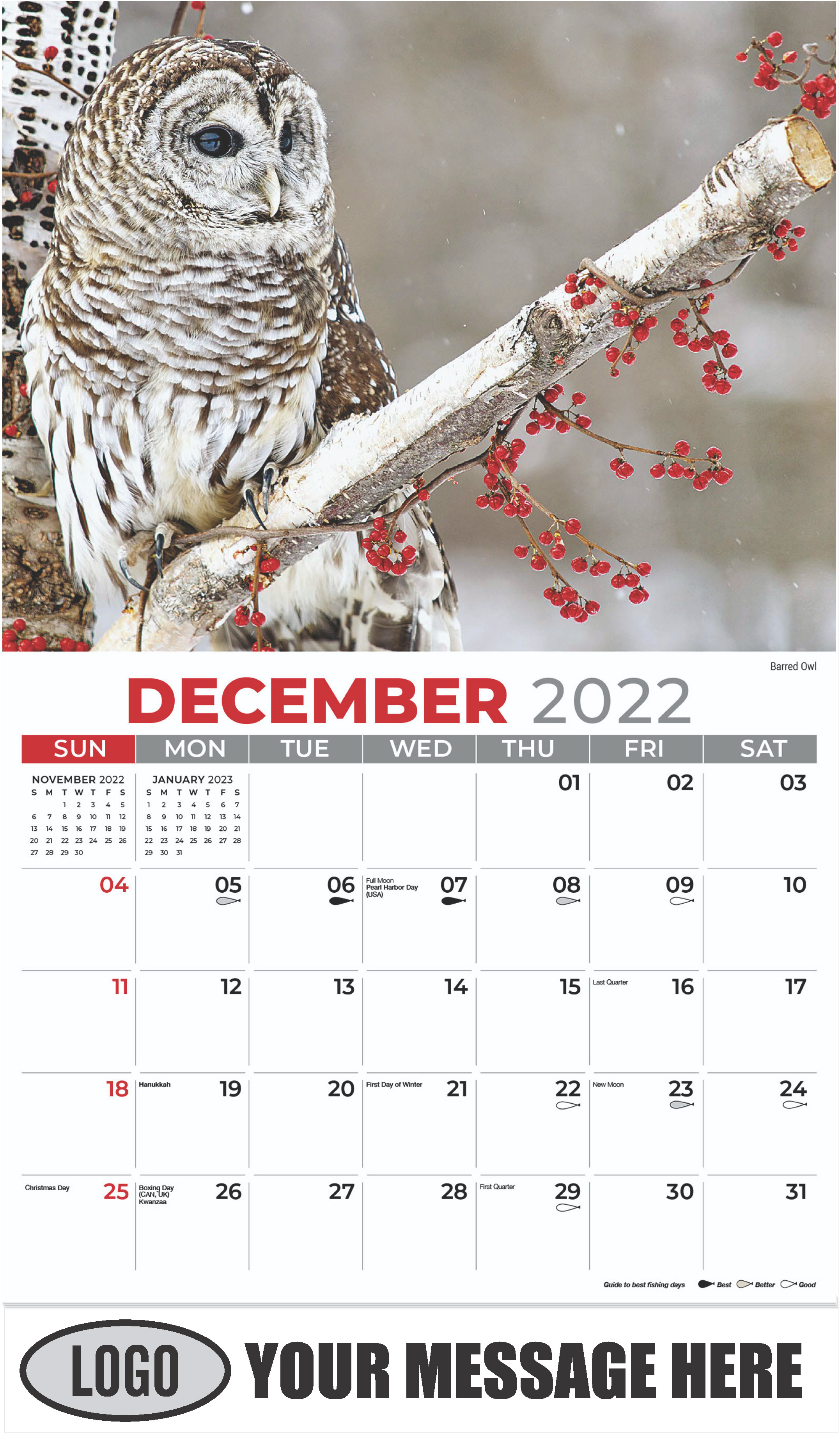 Barred Owl - December 2022 - North American Wildlife 2023 Promotional Calendar