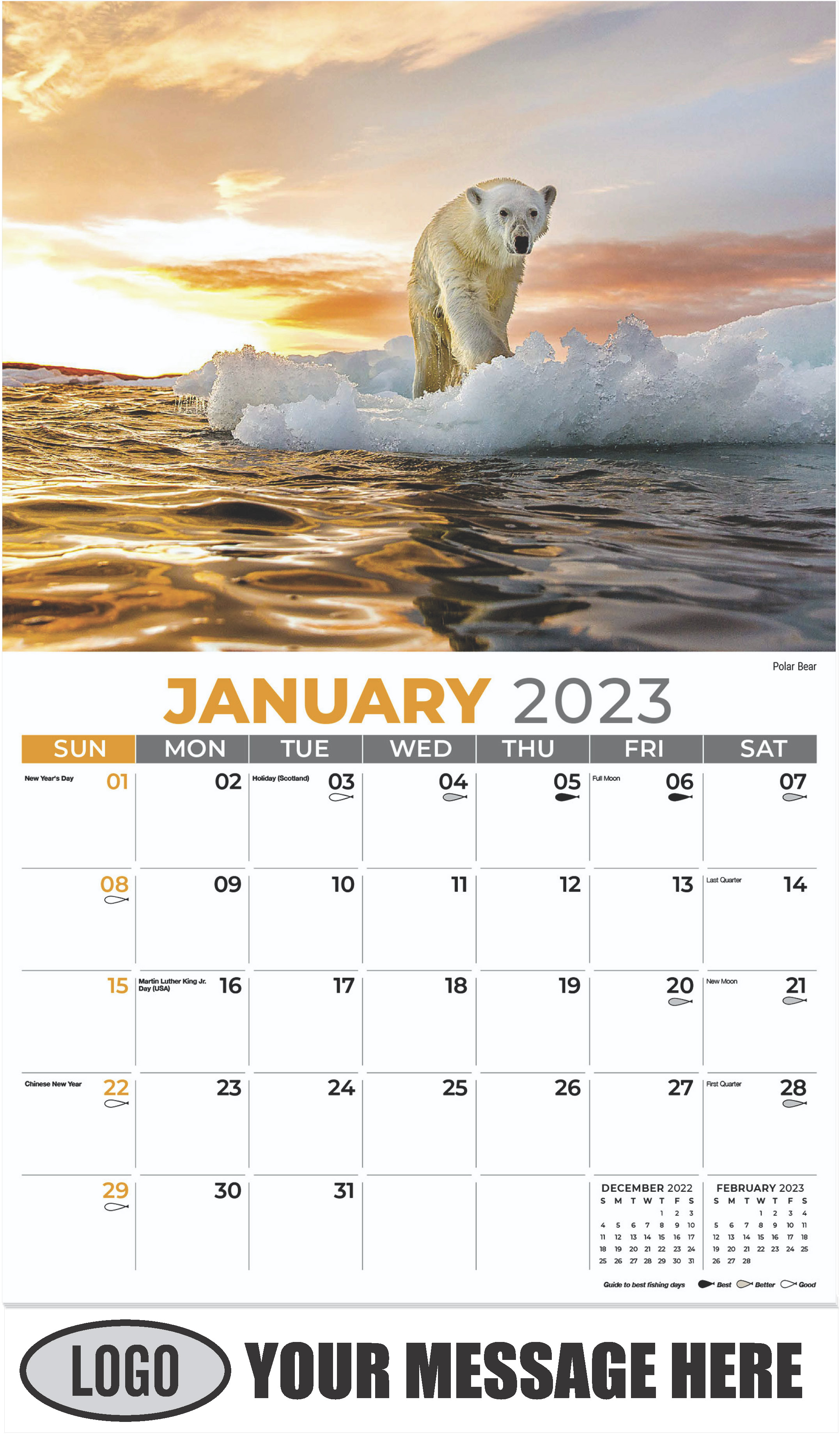 Polar Bear - January - North American Wildlife 2023 Promotional Calendar