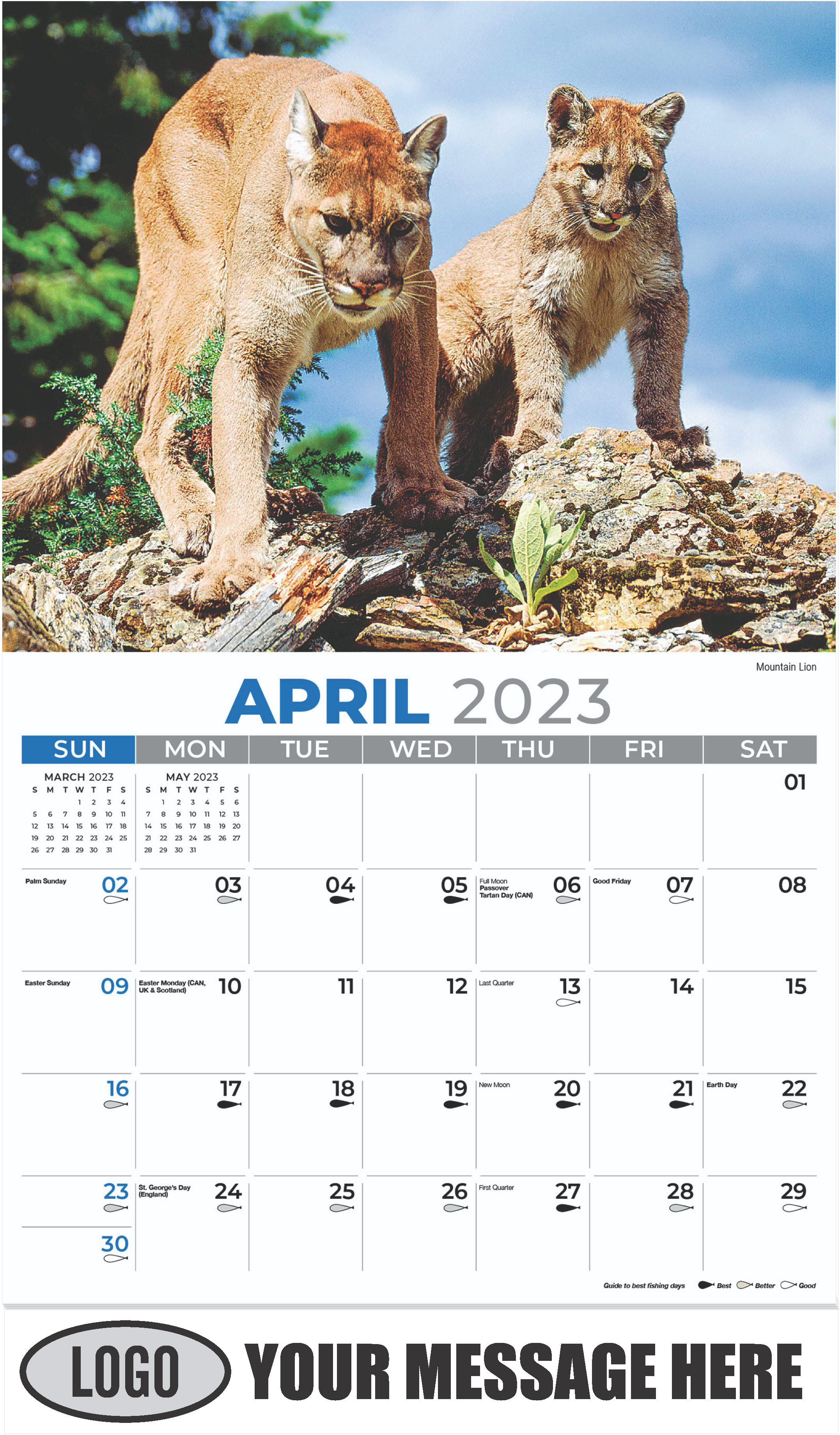 Mountain Lion - April - North American Wildlife 2023 Promotional Calendar