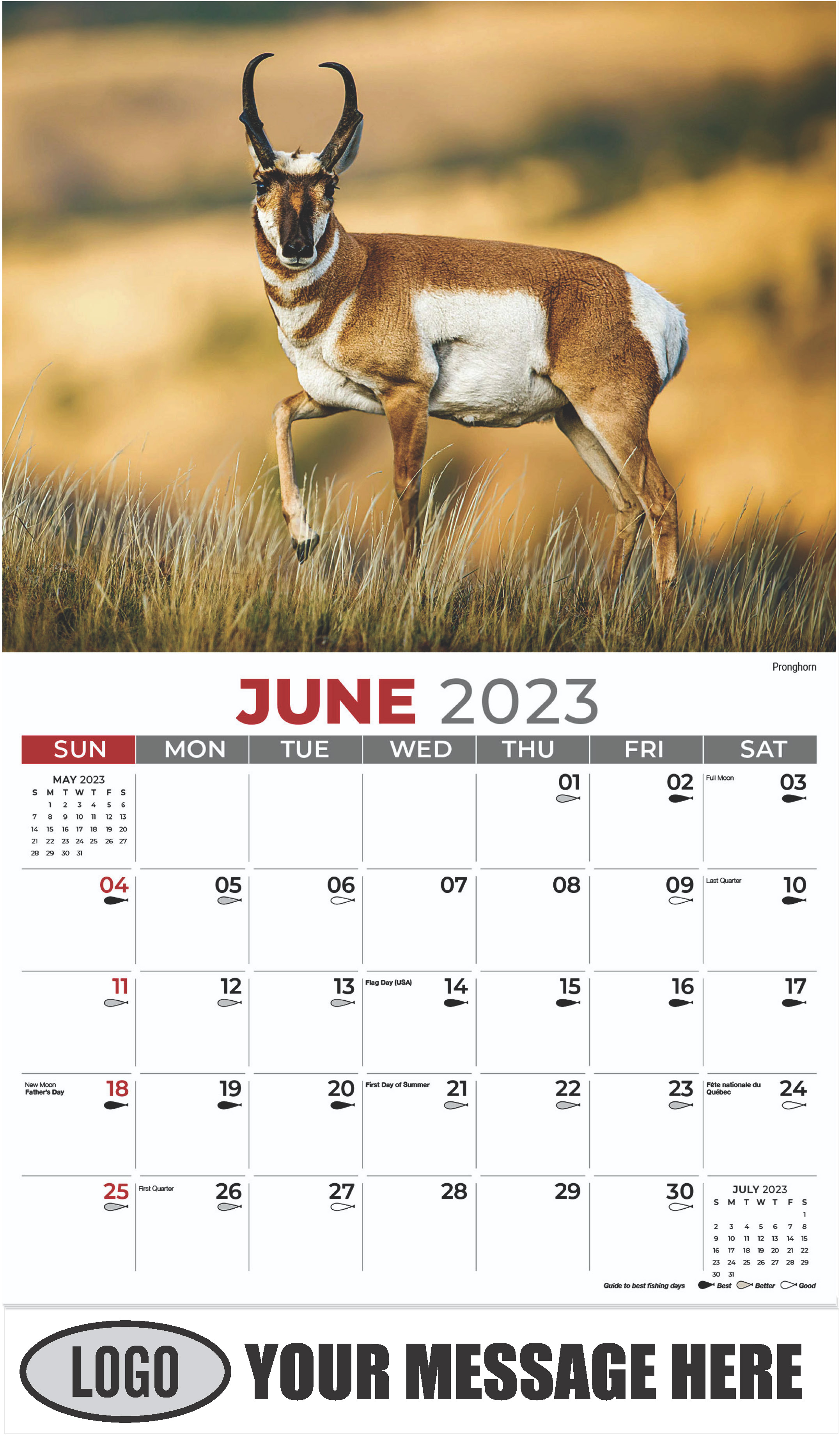 Pronghorn - June - North American Wildlife 2023 Promotional Calendar