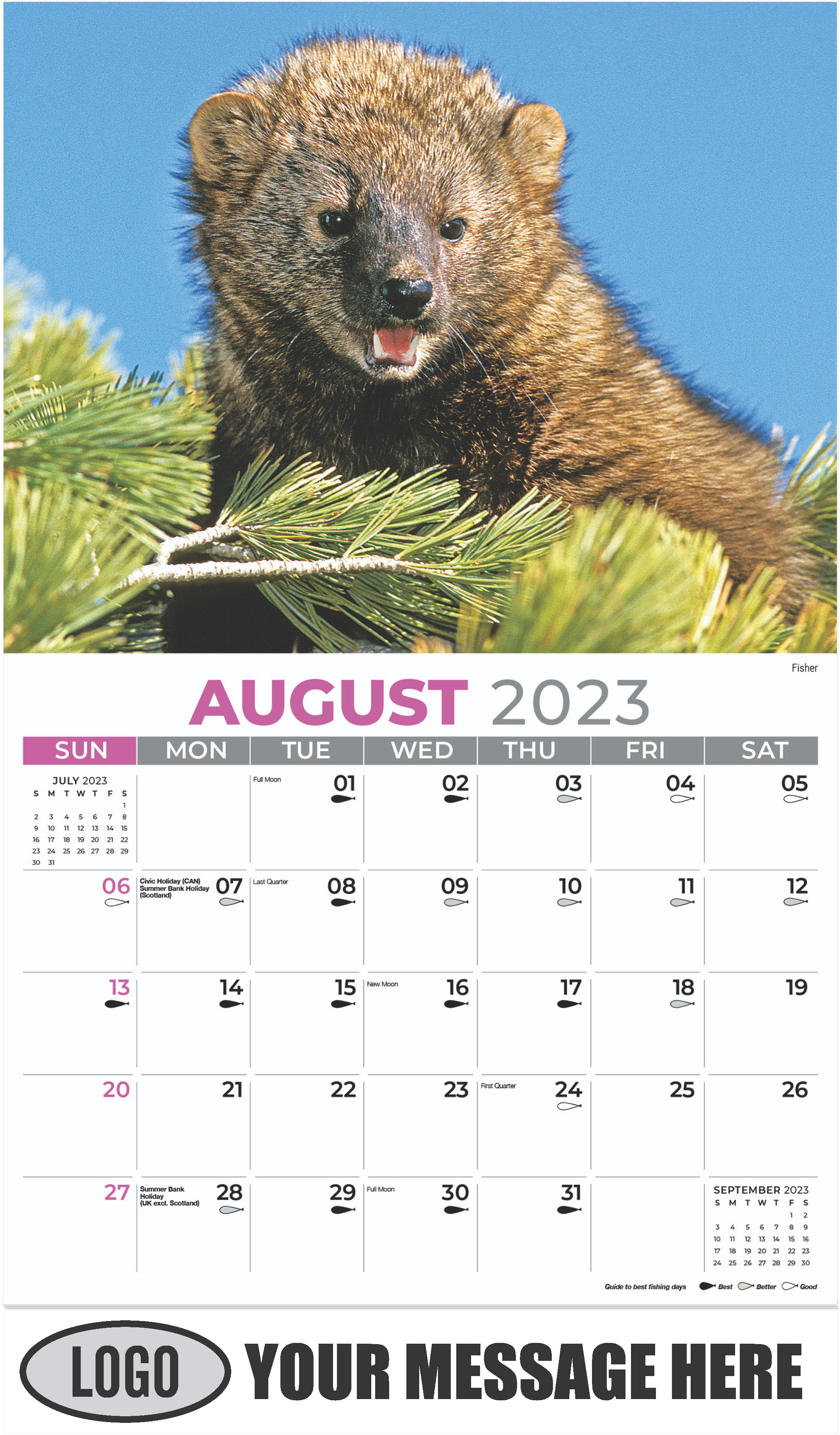 Fisher - August - North American Wildlife 2023 Promotional Calendar