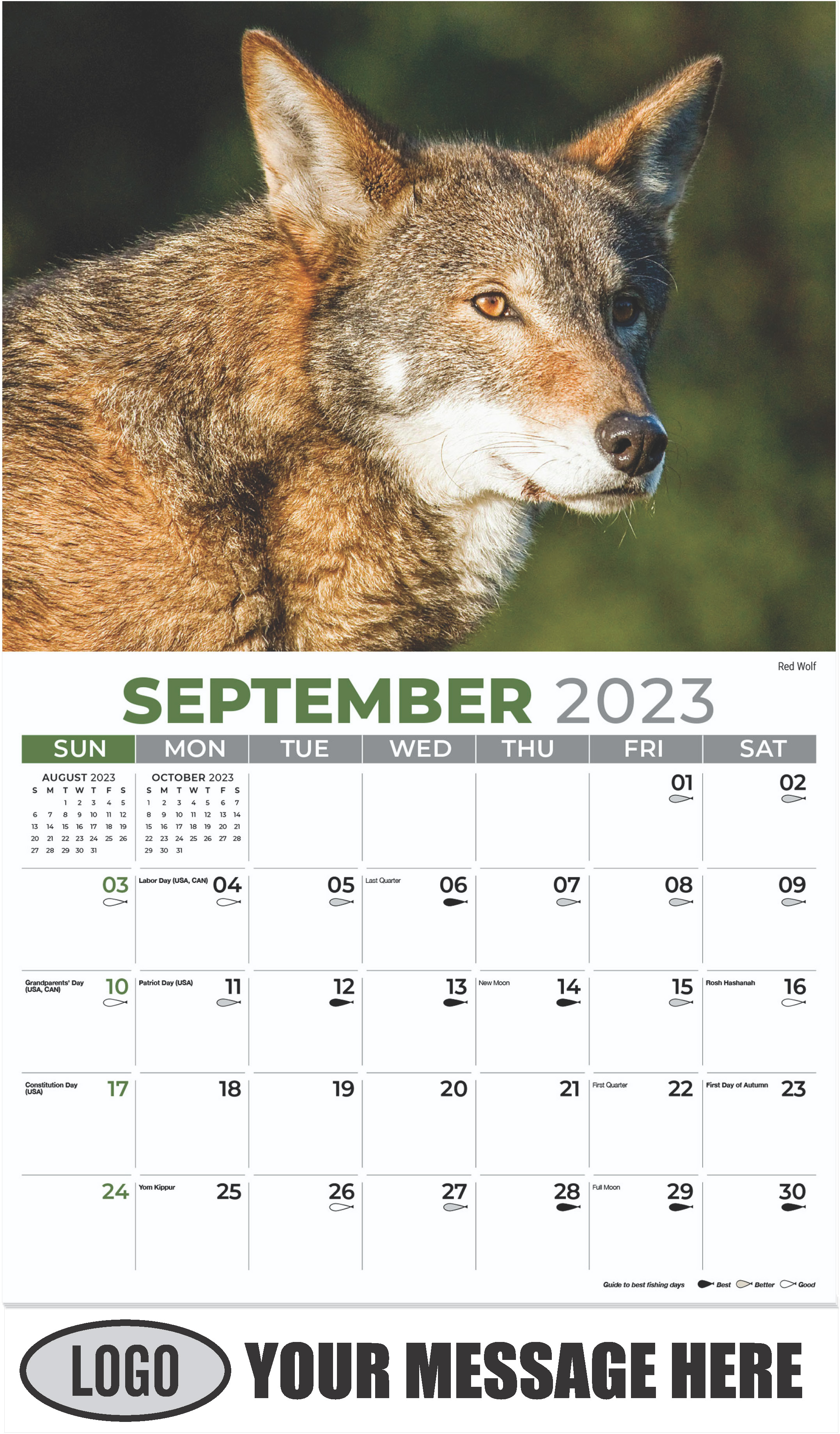 Red Wolf - September - North American Wildlife 2023 Promotional Calendar