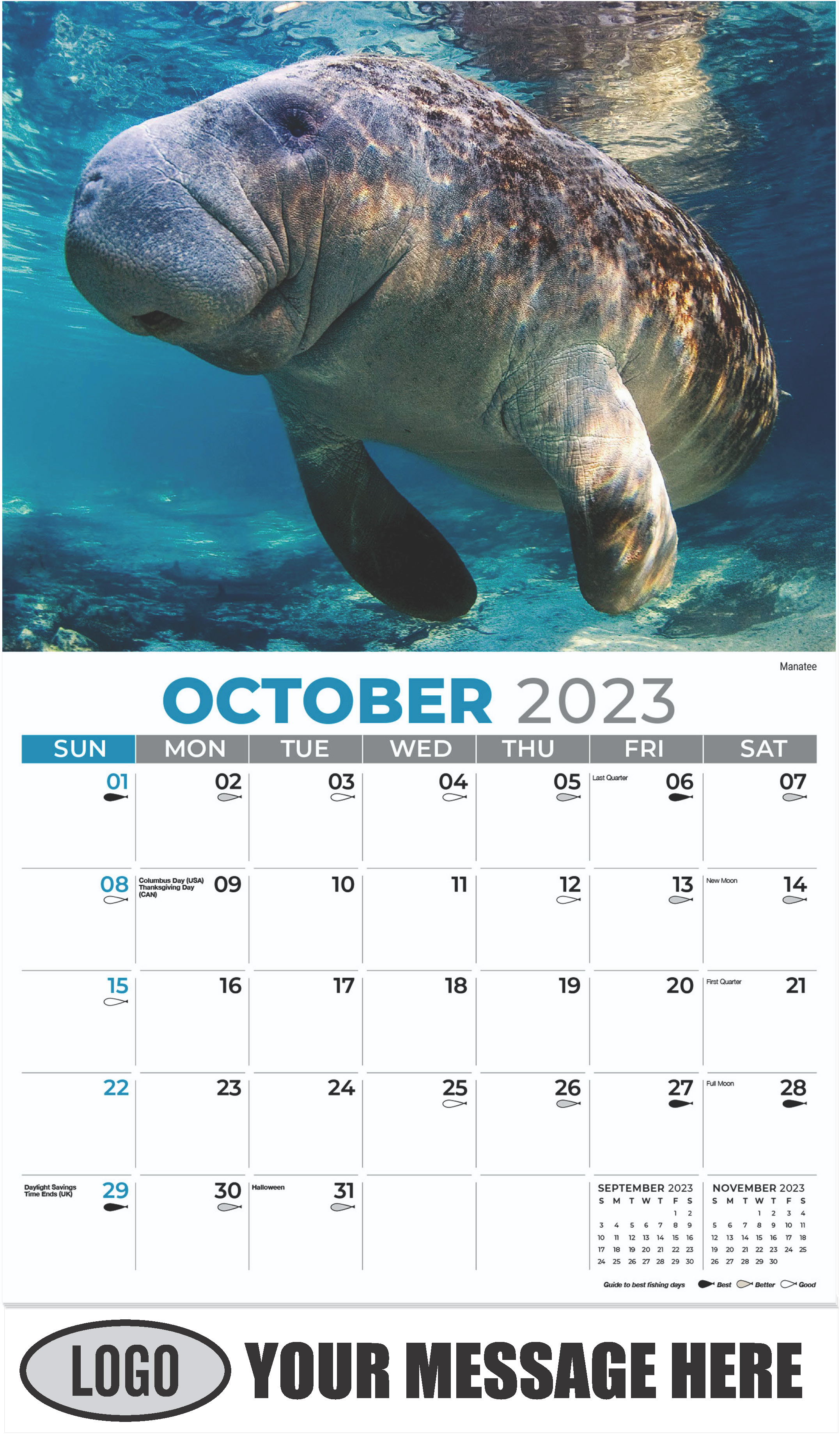 Manatee - October - North American Wildlife 2023 Promotional Calendar