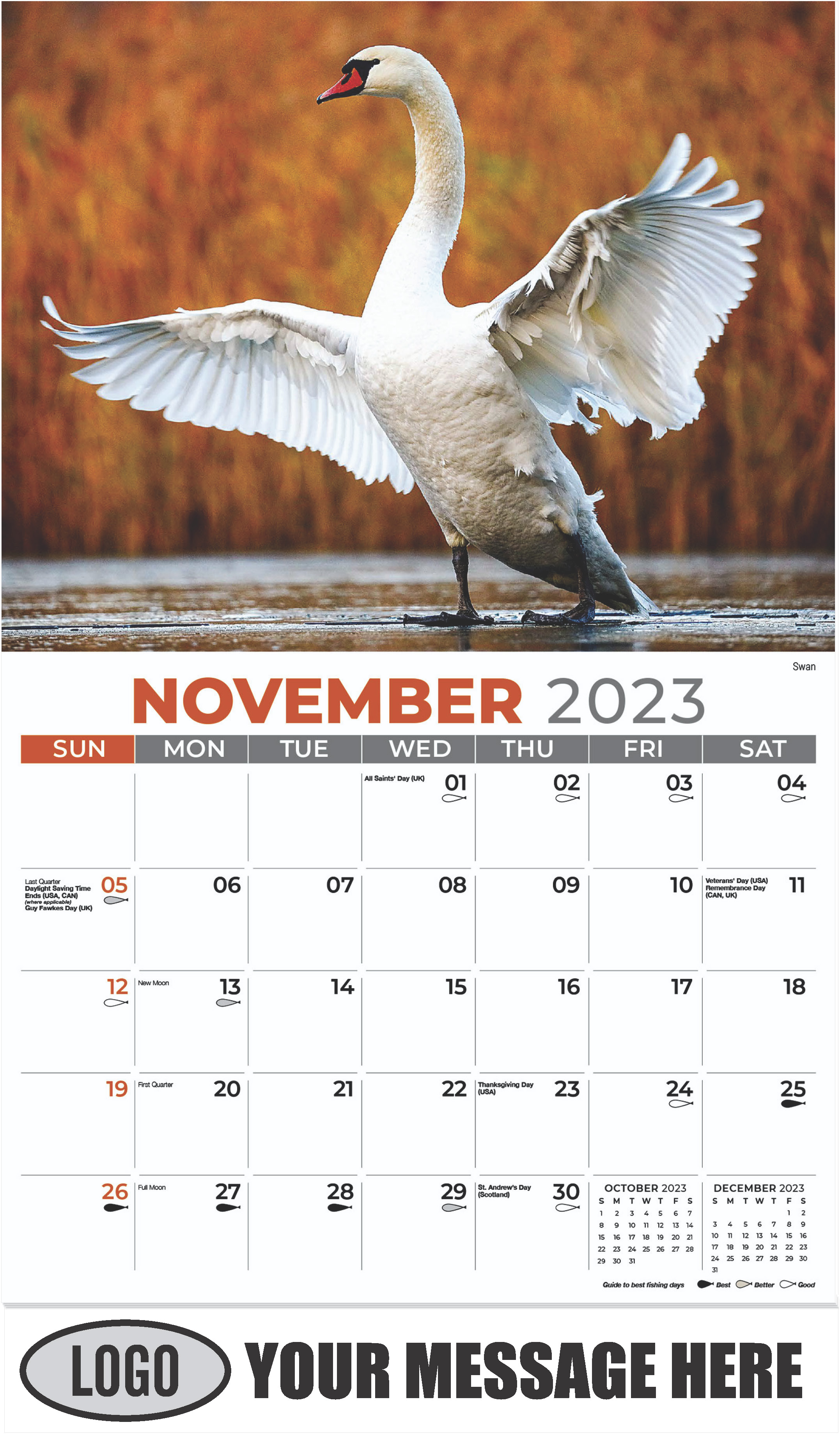 Swan - November - North American Wildlife 2023 Promotional Calendar