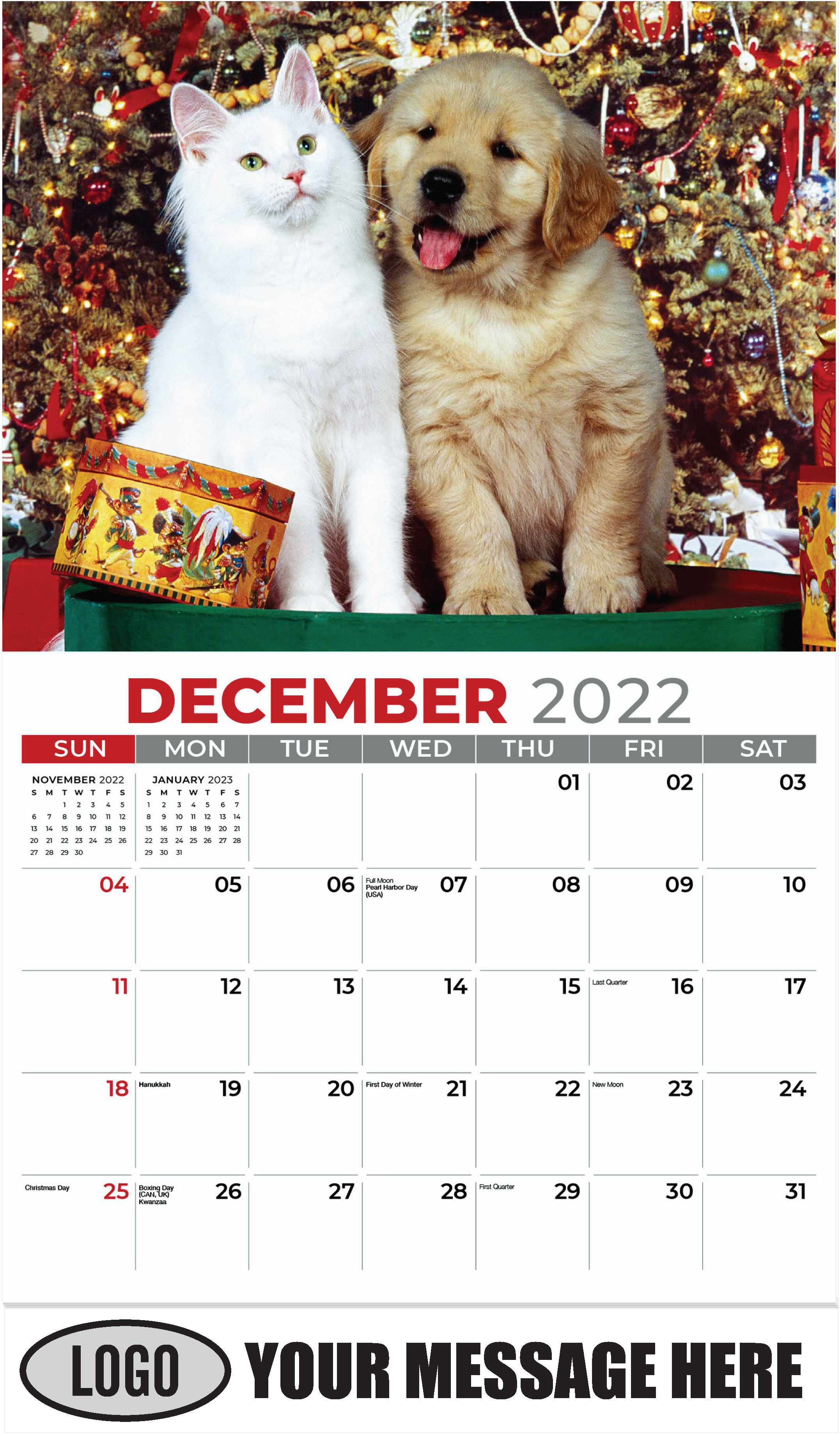 Golden Retriever Puppy And White Maine Coon Cat - December 2022 - Pets 2023 Promotional Calendar