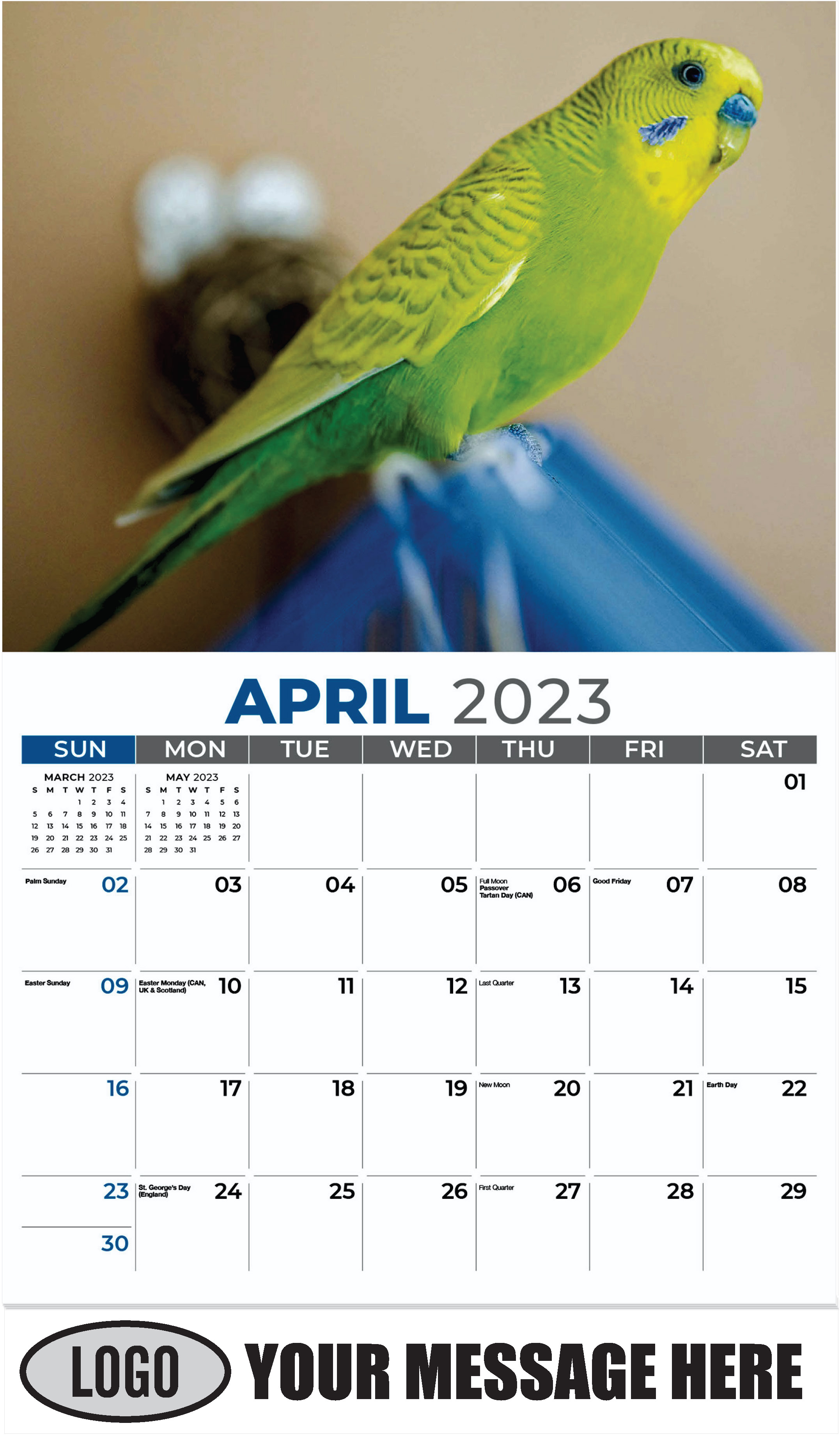 Budgie - April - Pets 2023 Promotional Calendar