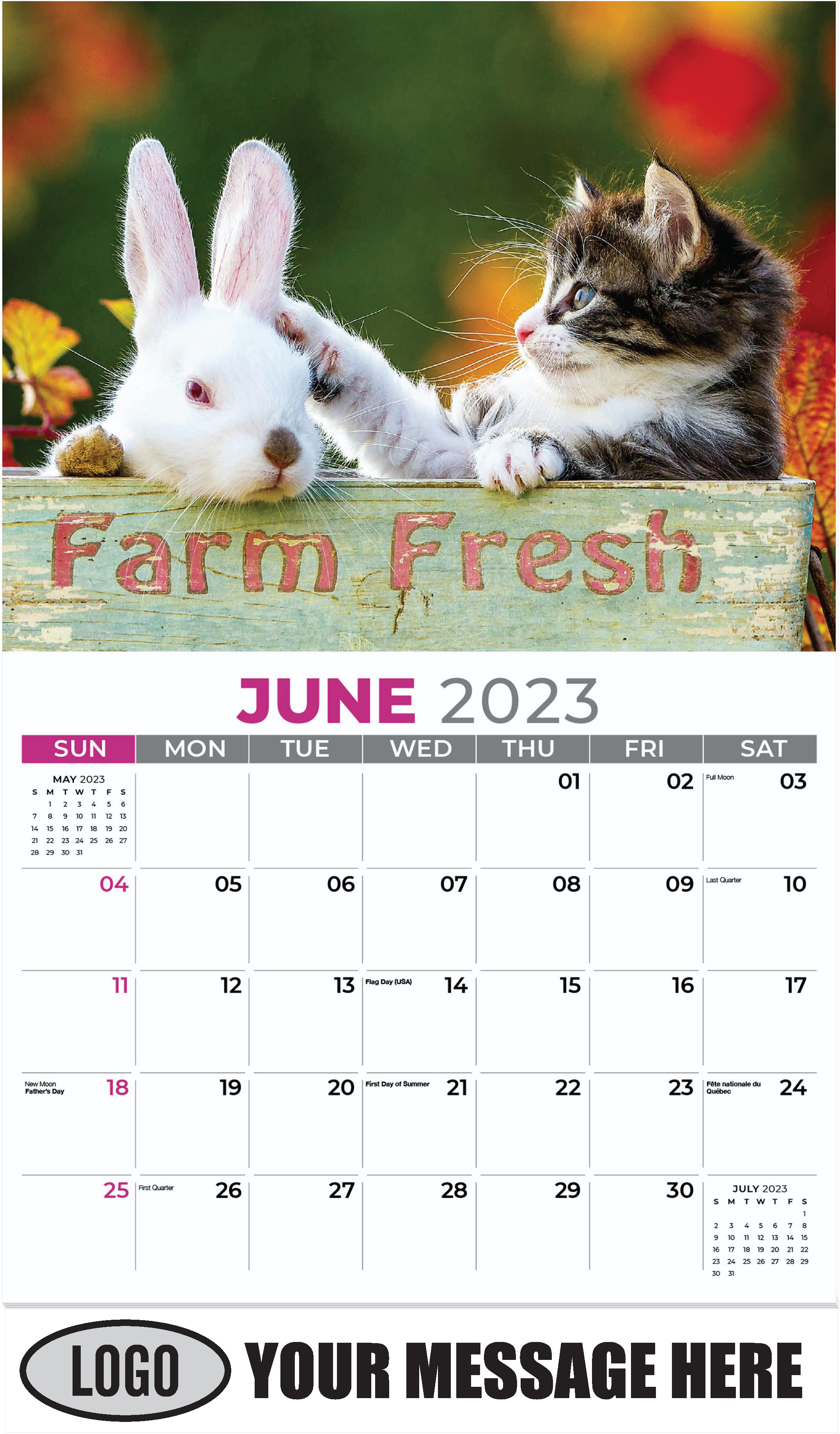 Kitten Pawing Young Rabbit - June - Pets 2023 Promotional Calendar