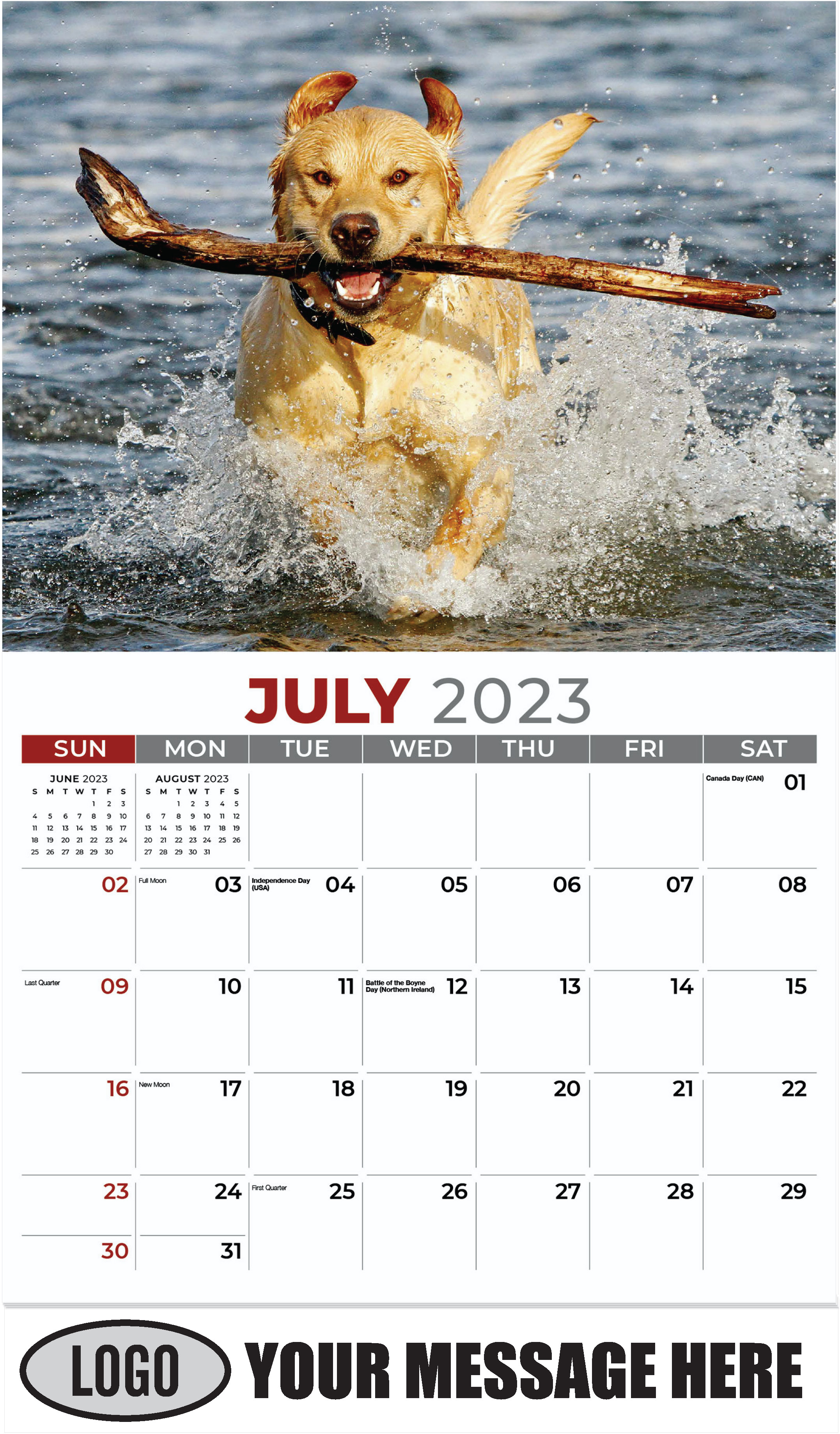 Labrador Retriever - July - Pets 2023 Promotional Calendar