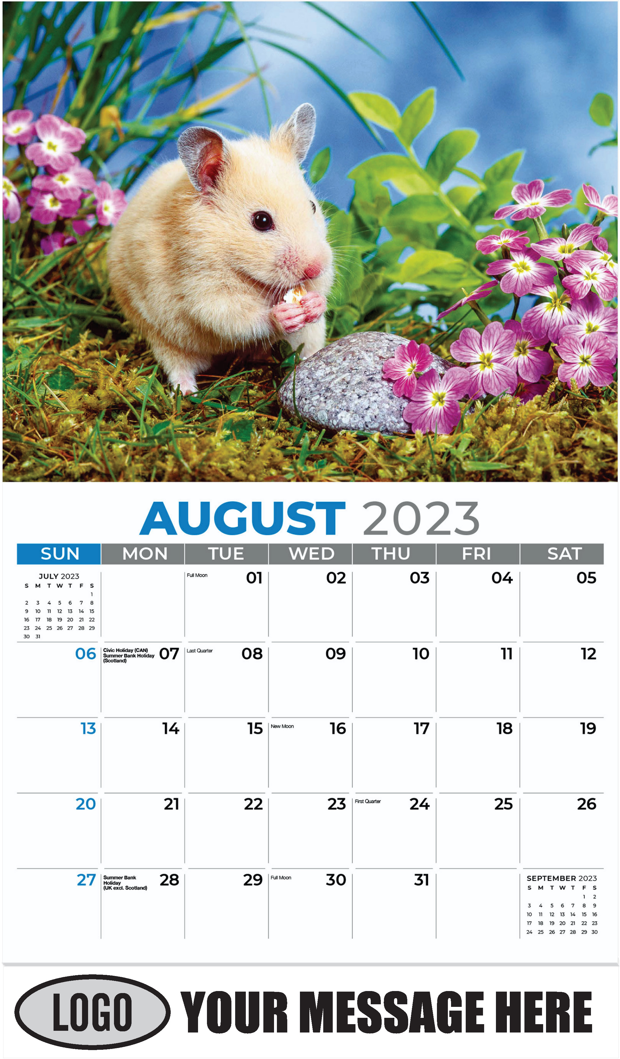 Syrian Hamster - August - Pets 2023 Promotional Calendar