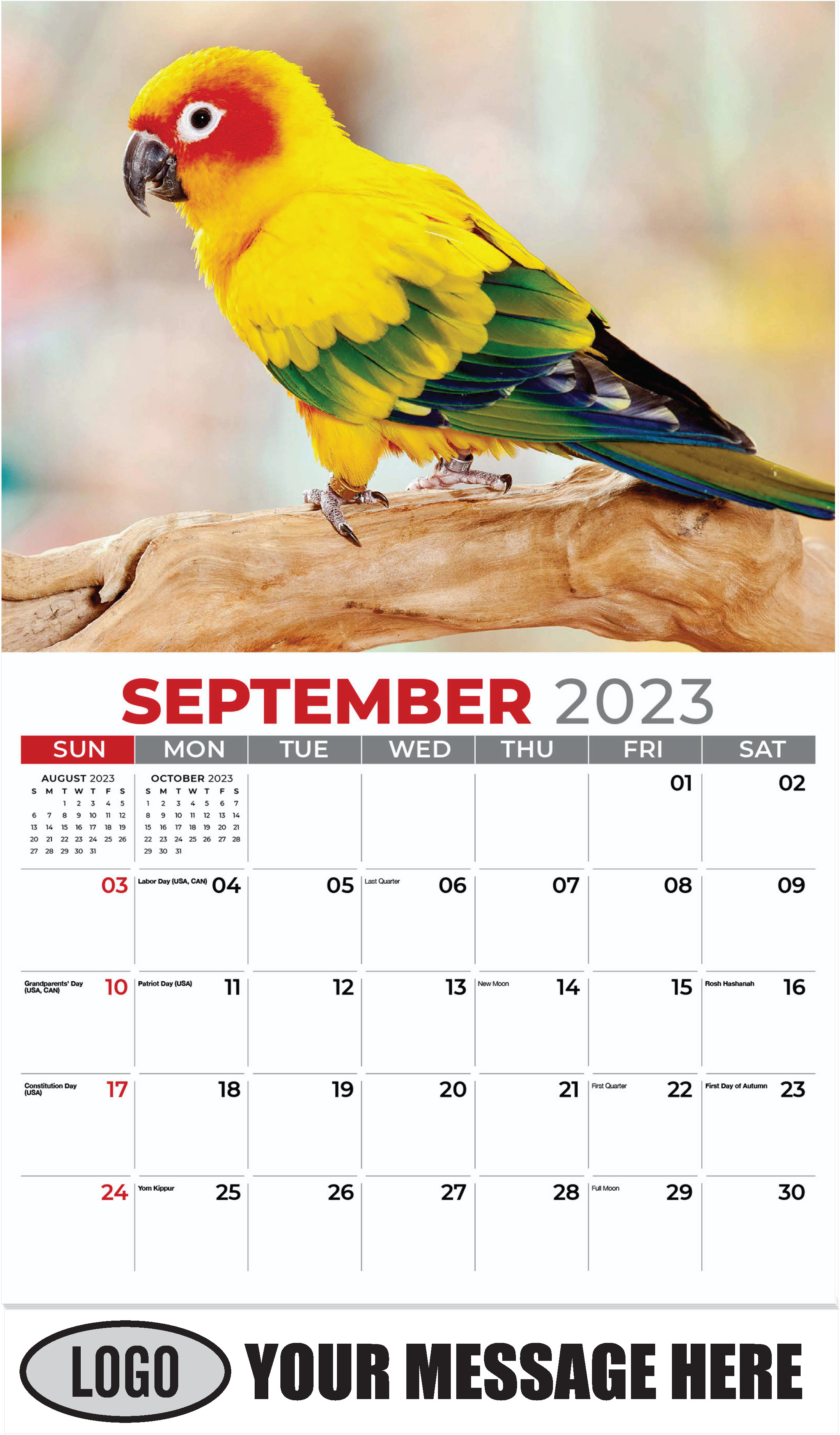 Sun Conure - September - Pets 2023 Promotional Calendar