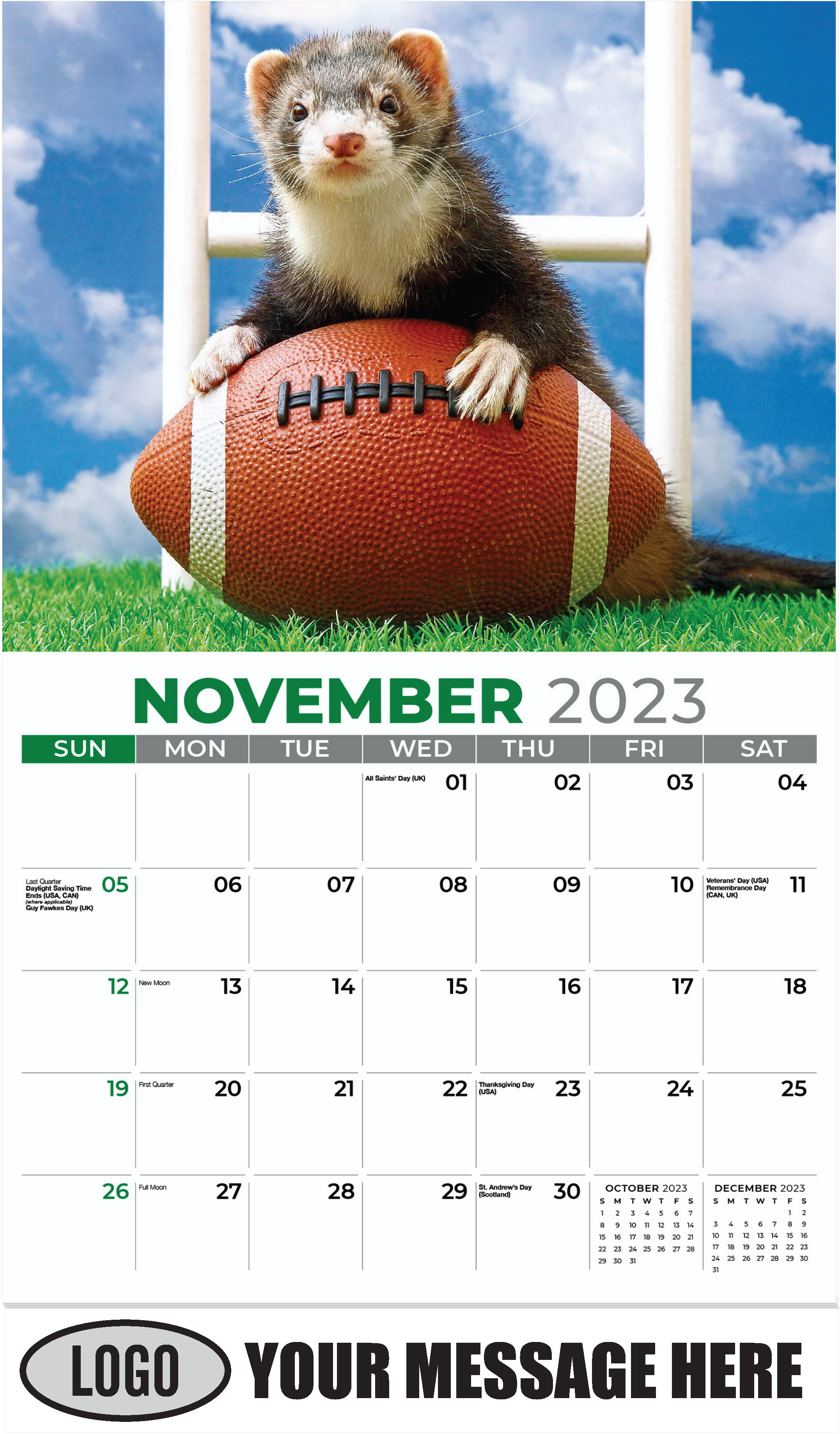 Ferret - November - Pets 2023 Promotional Calendar