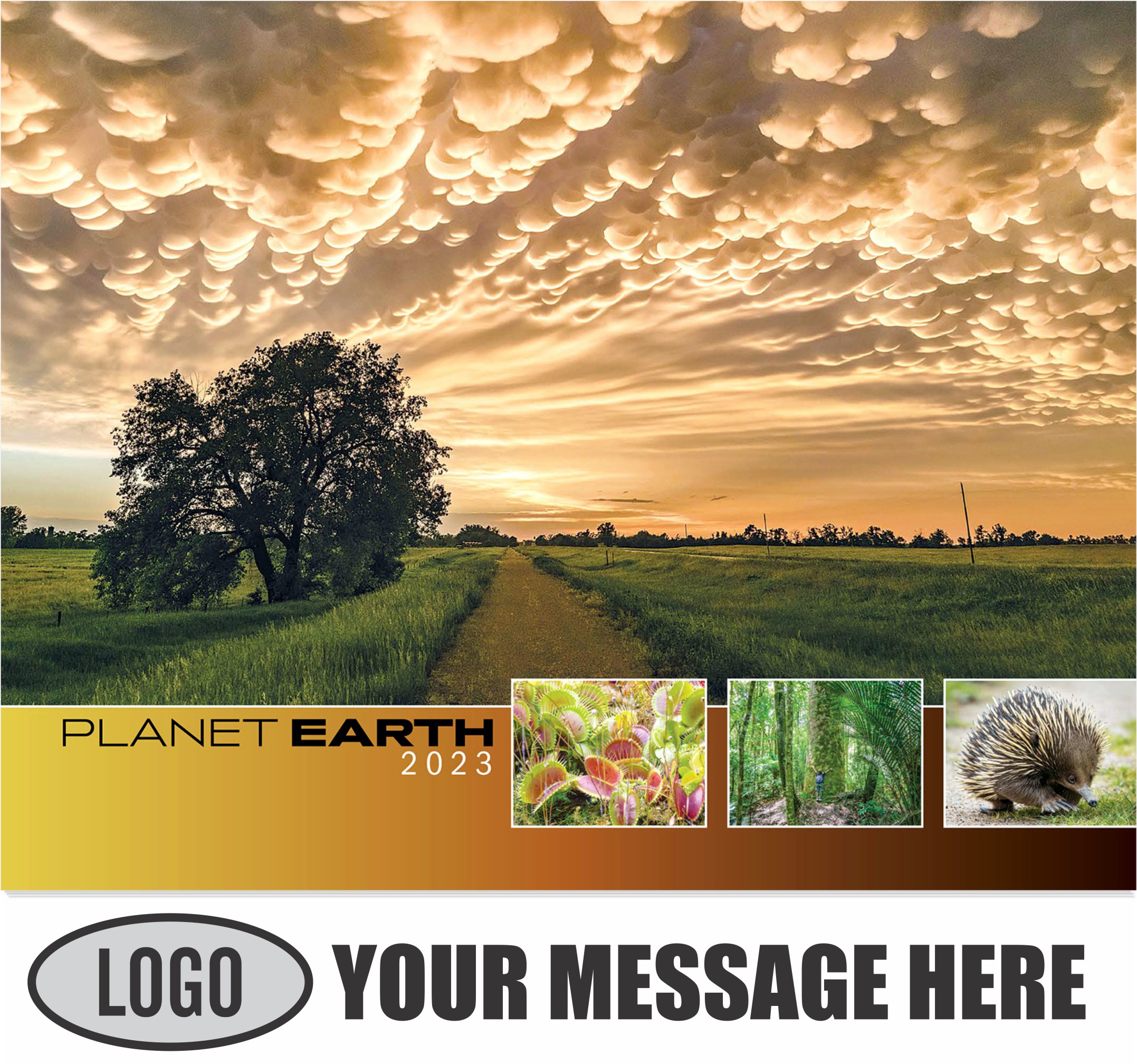 2023 Business Promotion Calendars Earth low as 65¢