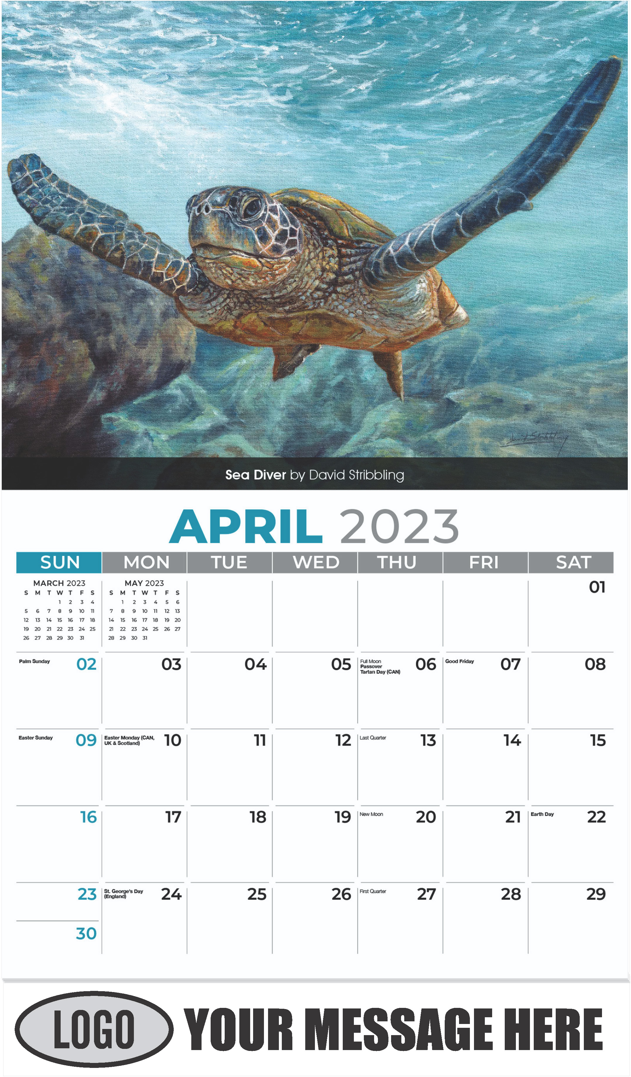 Sea Diver by David Stribbling - April - Wildlife Portraits 2023 Promotional Calendar