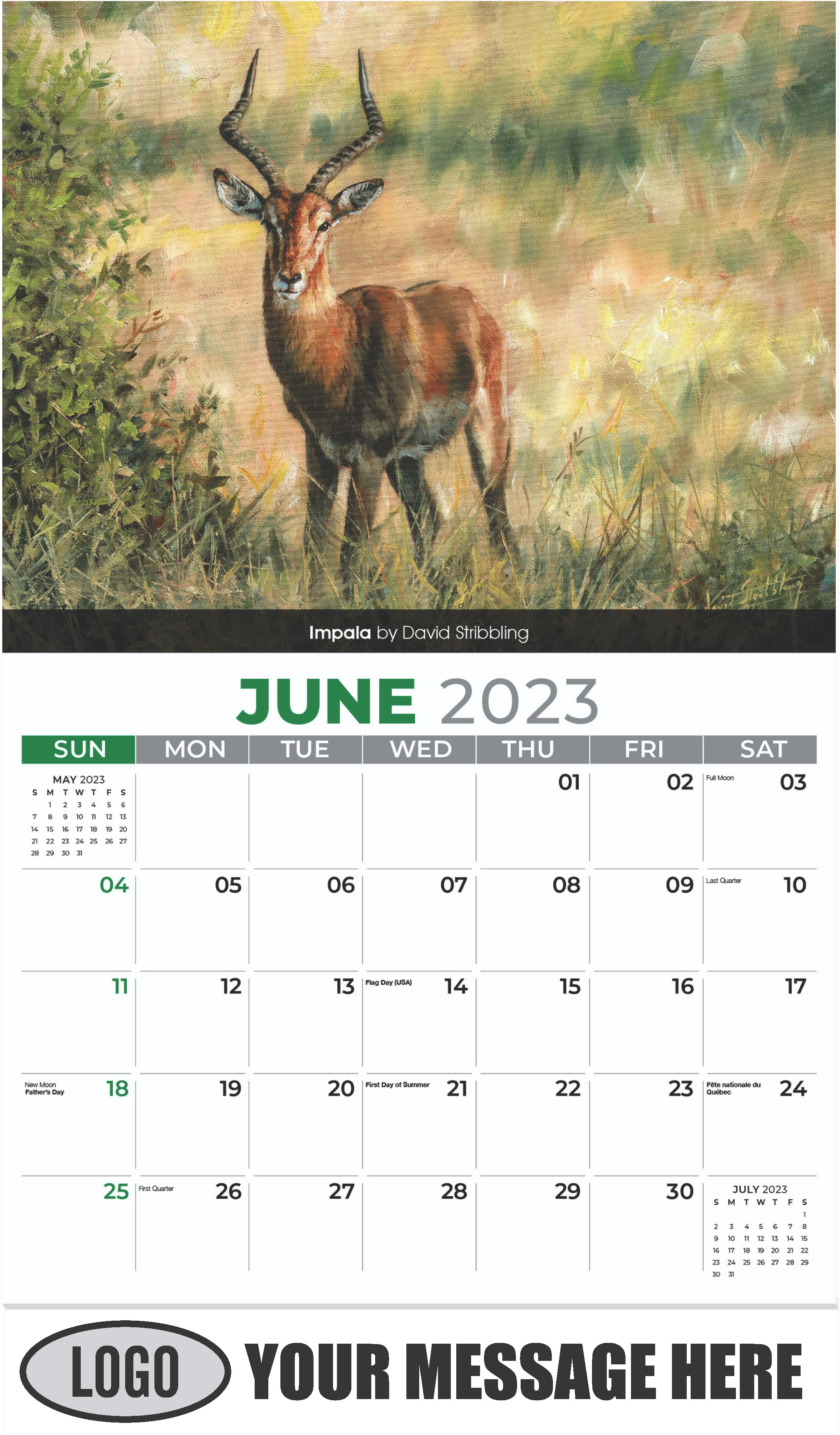 Impala by David Stribbling - June - Wildlife Portraits 2023 Promotional Calendar