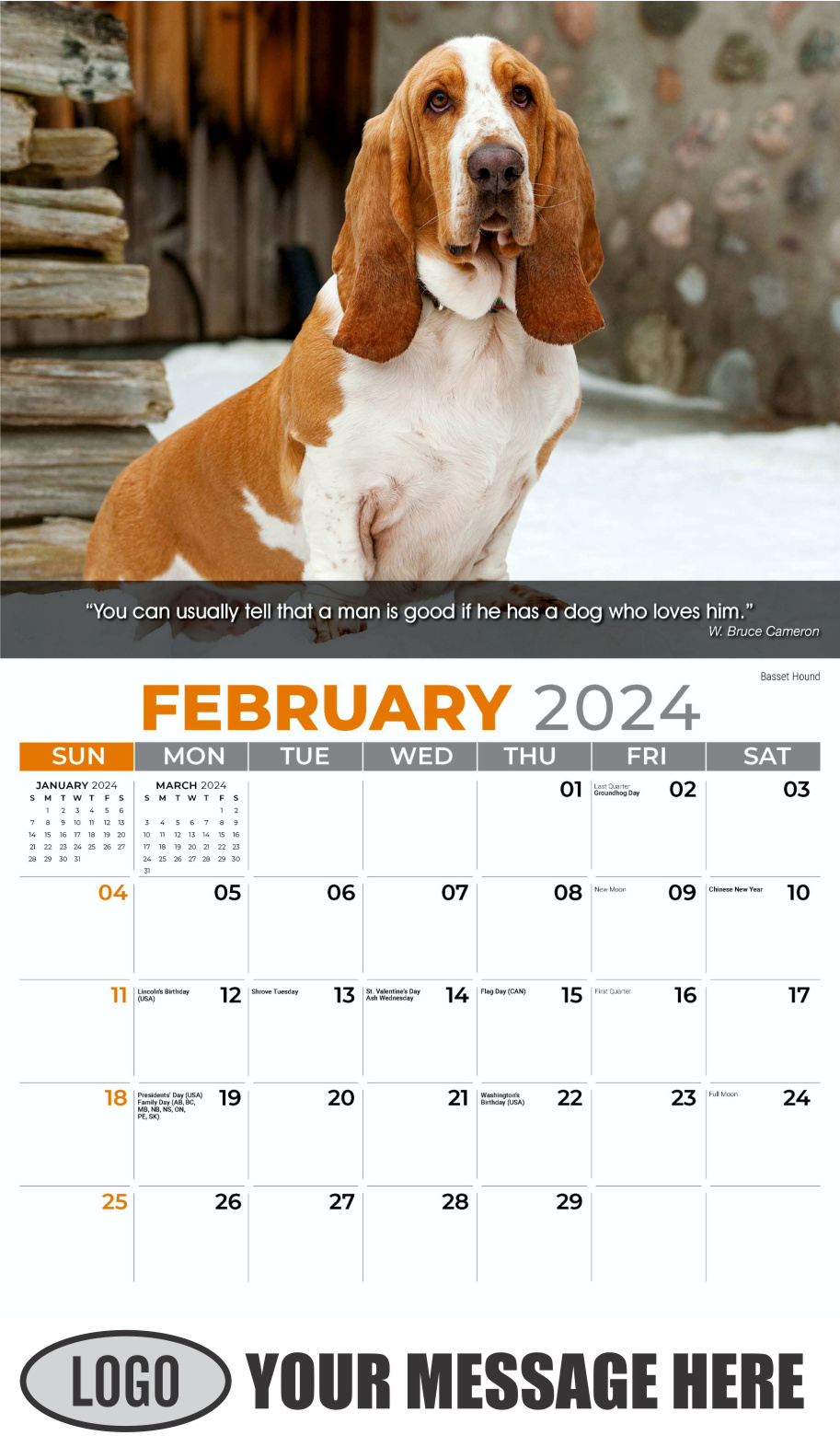Dogs 2024 Vets and Pets Business Promotion Calendar - February