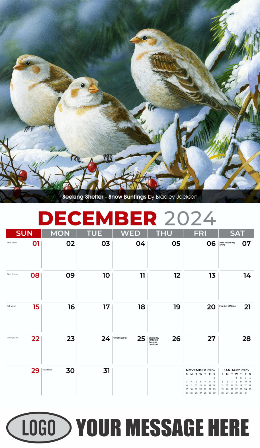 Garden Birds 2024 Business Promotional Calendar - December