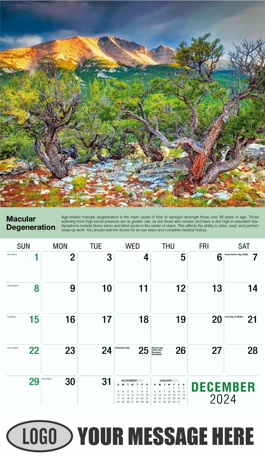 Health Tips 2024 Business Promo Wall Calendar - December