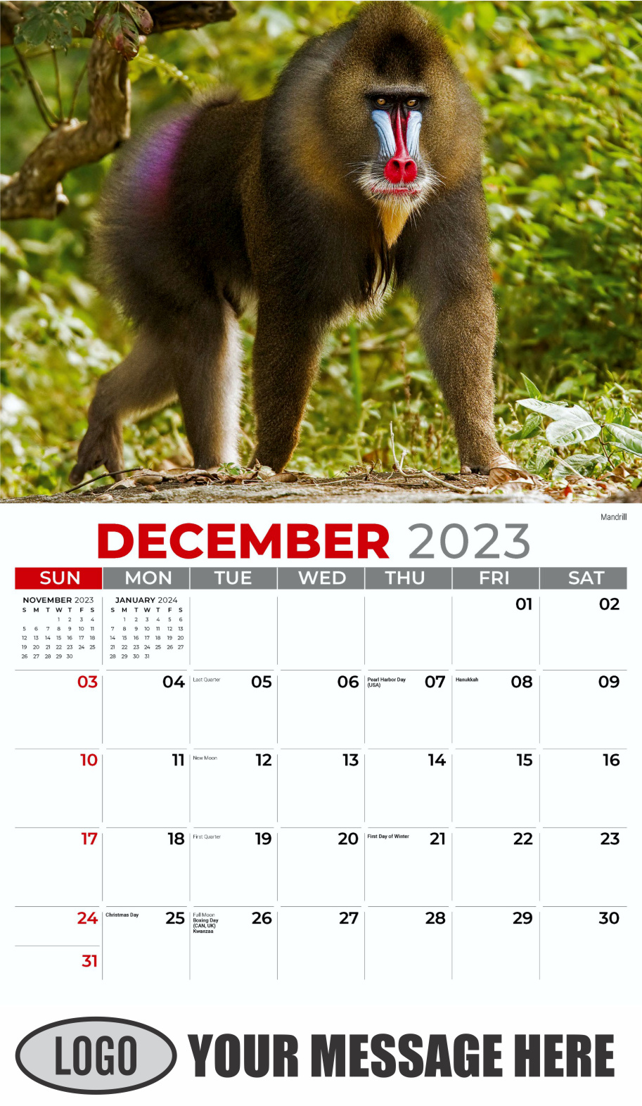 International Wildlife 2024 Business Advertising Wall Calendar - December_a